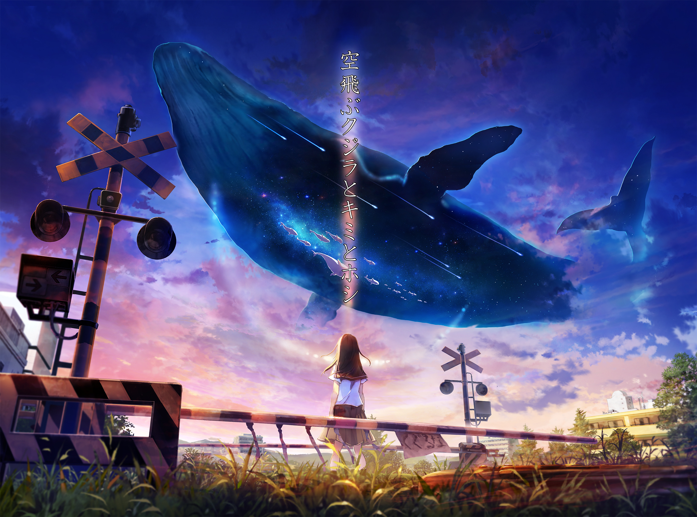 Free download wallpaper Anime, Sky, Animal, Whale on your PC desktop