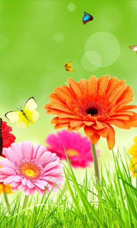 Download mobile wallpaper Grass, Close Up, Butterfly, Spring, Artistic, Gerbera for free.