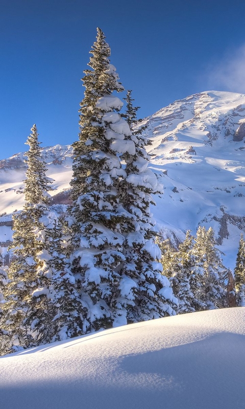 Descarga gratuita de fondo de pantalla para móvil de Invierno, Tierra/naturaleza.