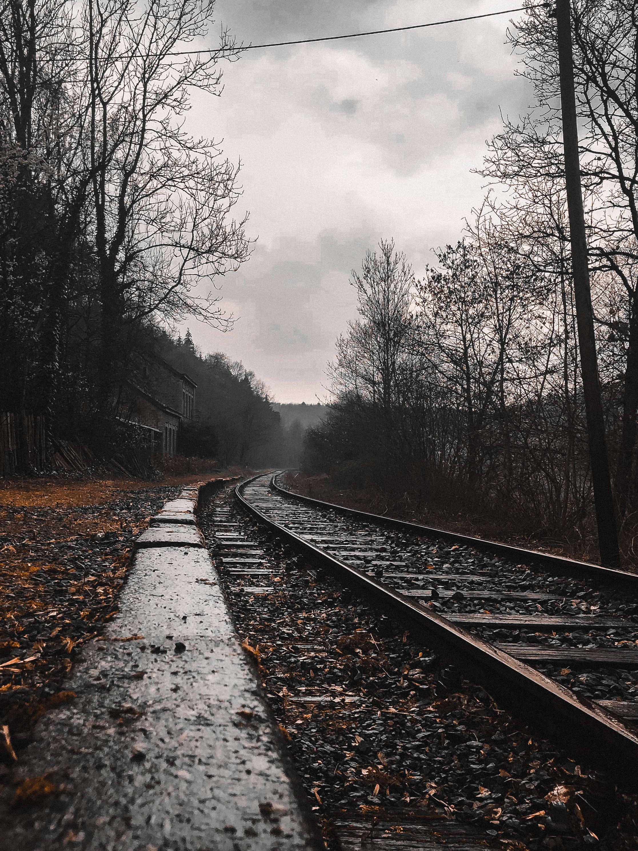 railway, rails, mainly cloudy, forest, nature, overcast