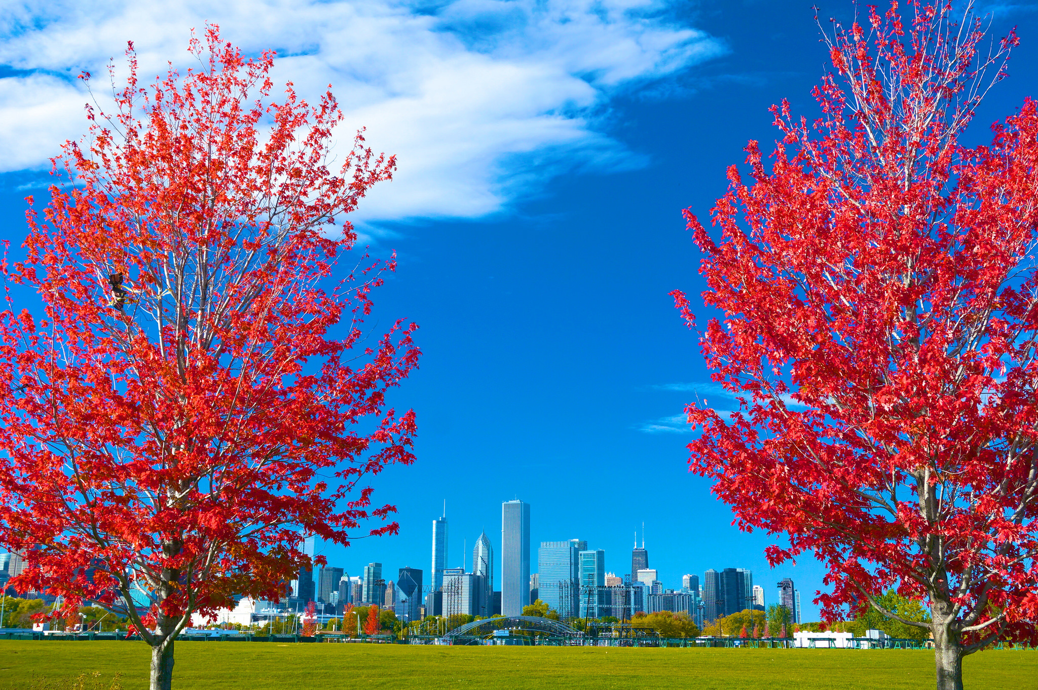 無料モバイル壁紙都市, 木, 秋, 葉, 街, 超高層ビル, 公園, シカゴ, マンメイドをダウンロードします。