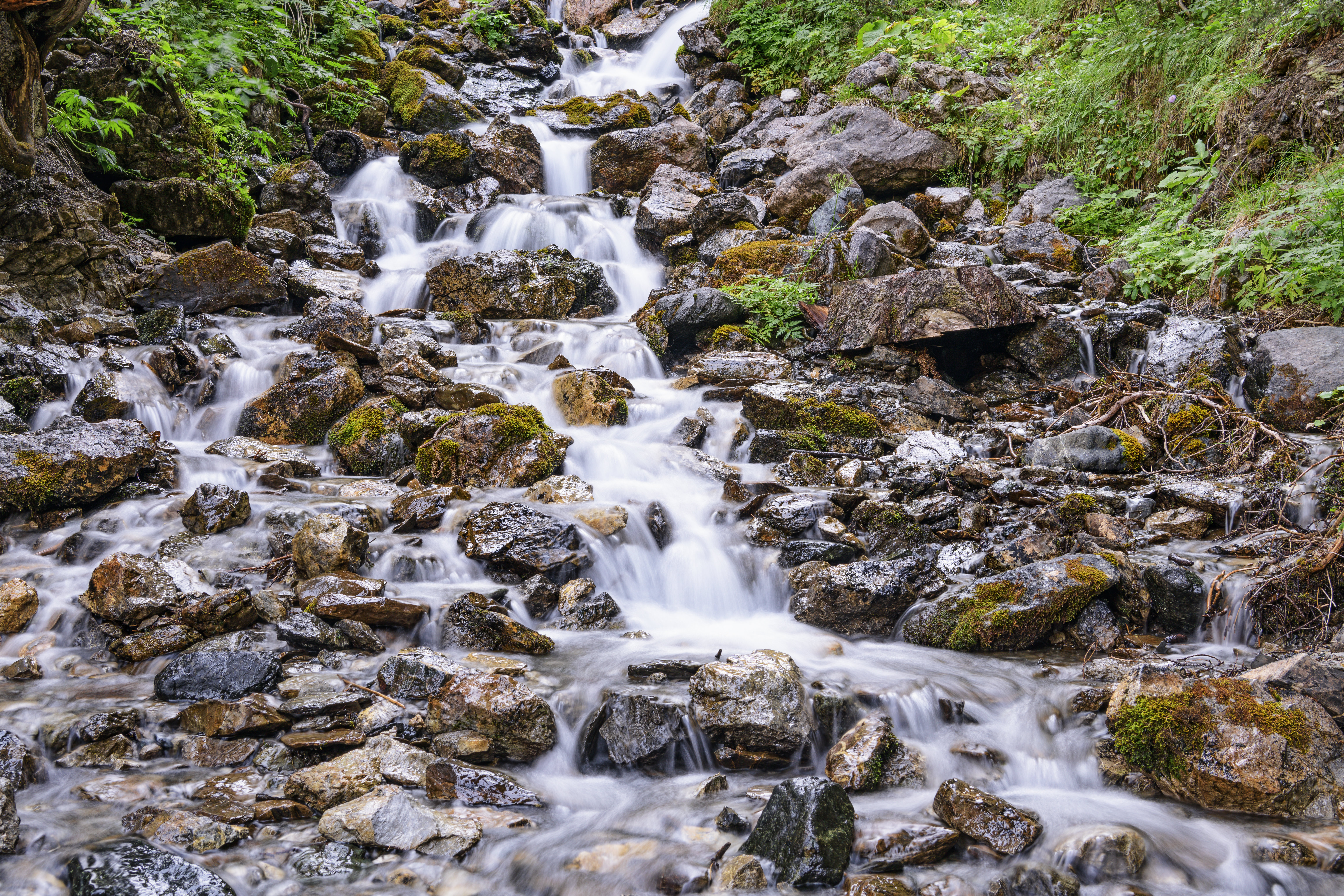 flow, plants, nature, water, stones, waterfall, stream
