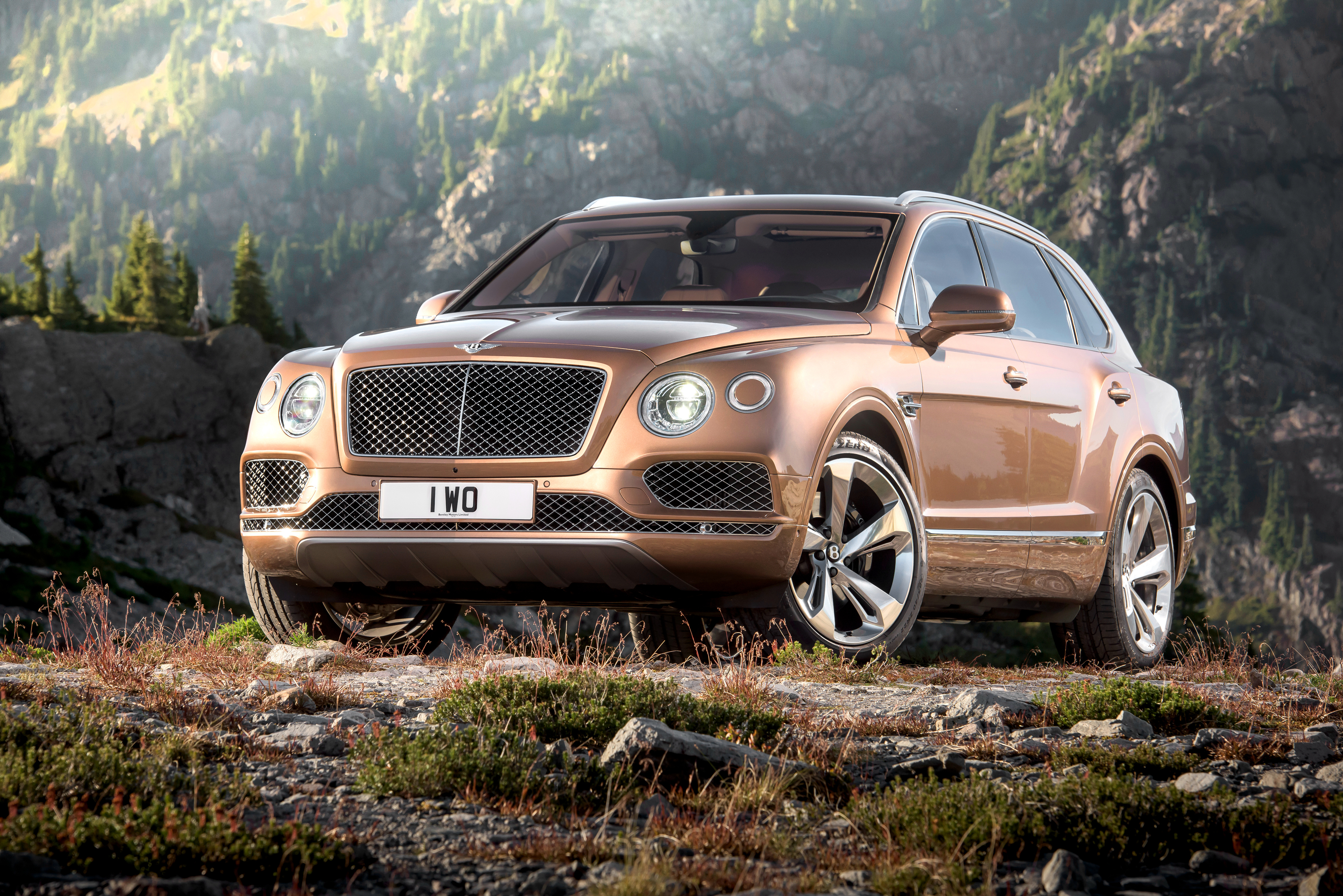 bentley, cars, brown, side view, bentayga wallpaper for mobile