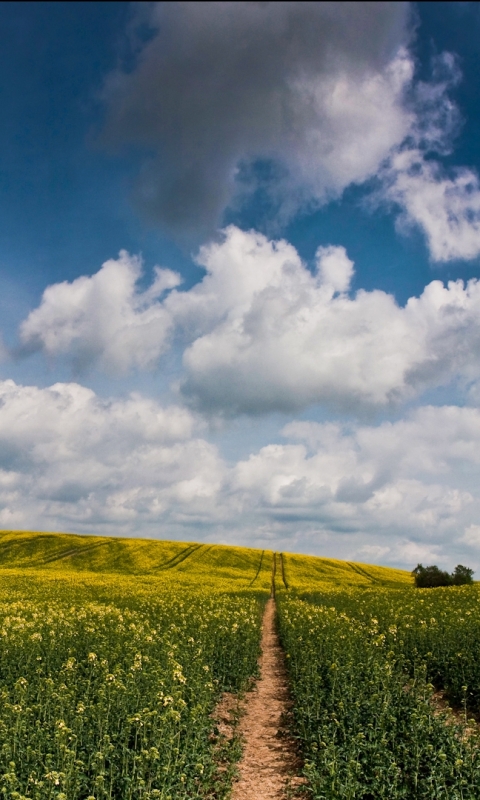 Téléchargez des papiers peints mobile Ciel, Terre/nature gratuitement.