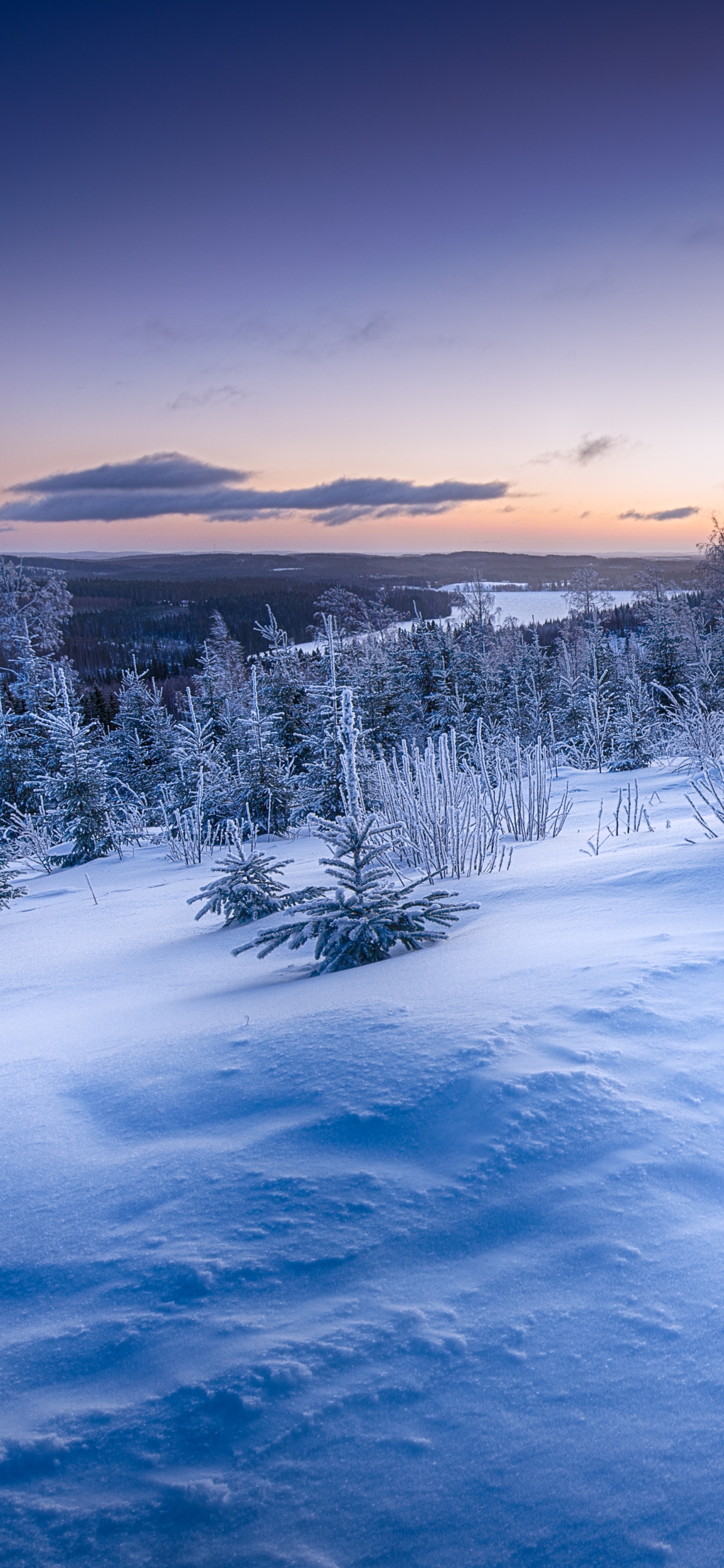 Download mobile wallpaper Landscape, Winter, Nature, Snow, Horizon, Earth for free.