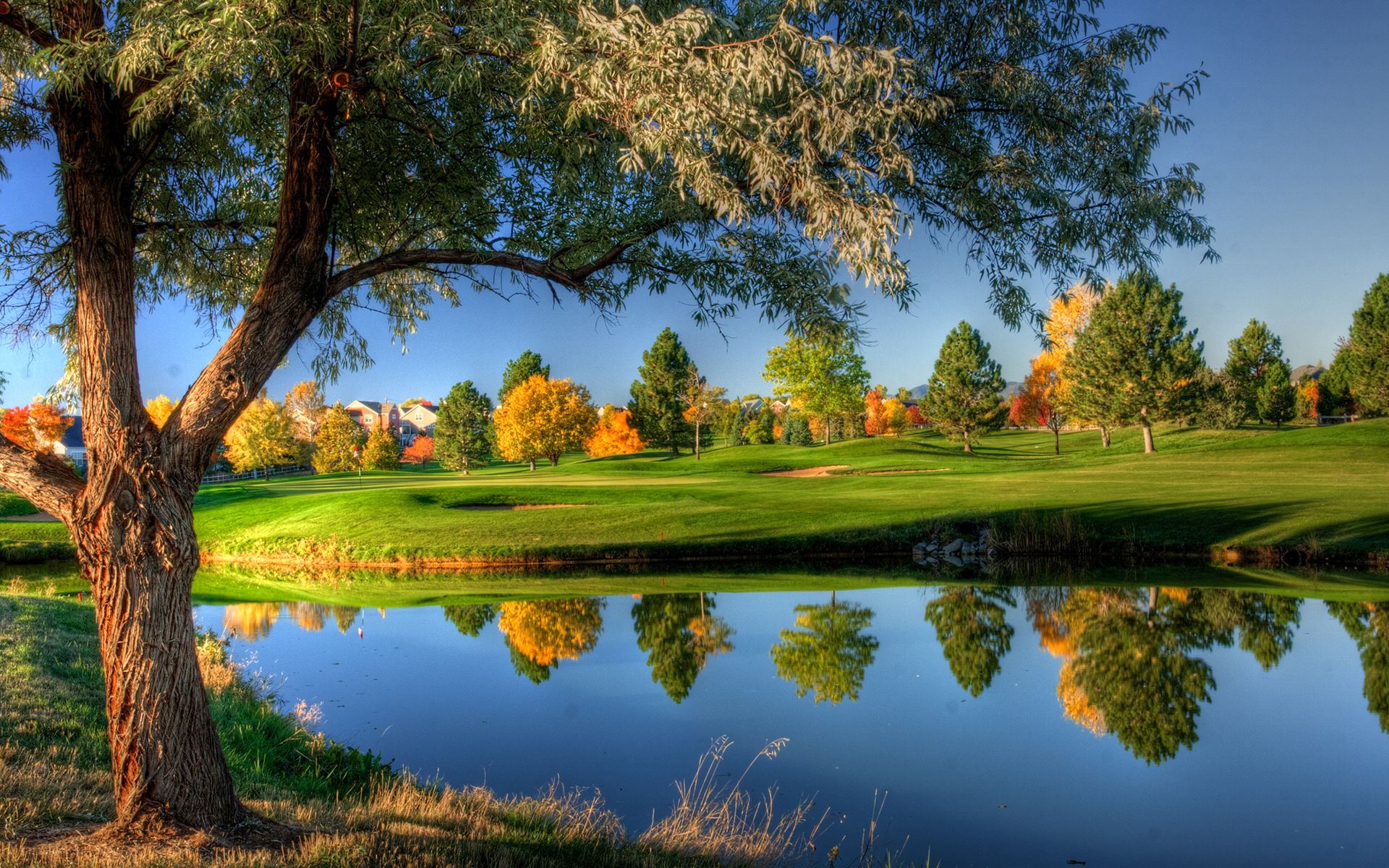 242278 скачать картинку озеро, сделано человеком, поле для гольфа, отражение, дерево, гольф - обои и заставки бесплатно