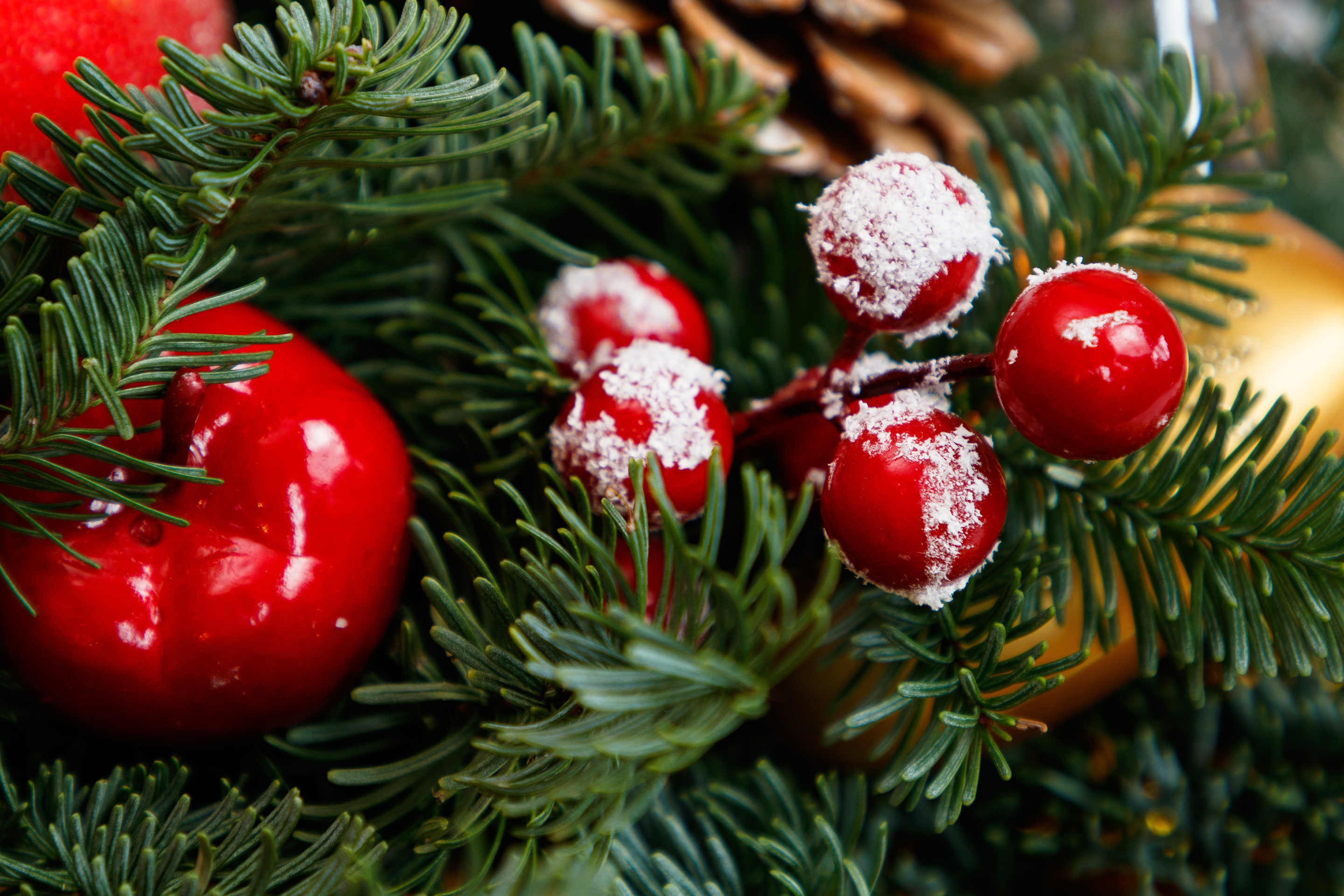 Téléchargez des papiers peints mobile Noël, Vacances, Décoration gratuitement.