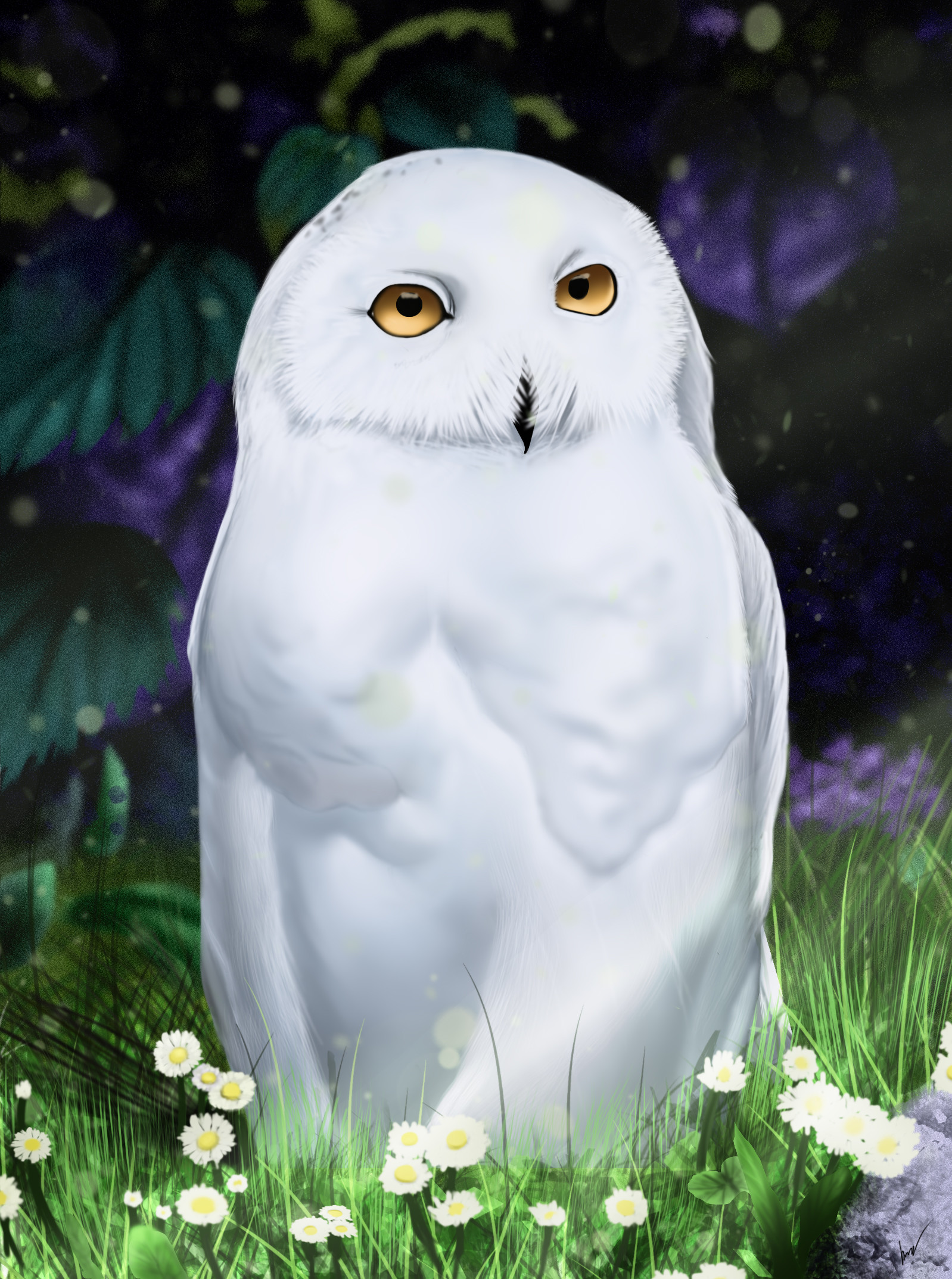 Free download wallpaper Art, Bird, Owl on your PC desktop