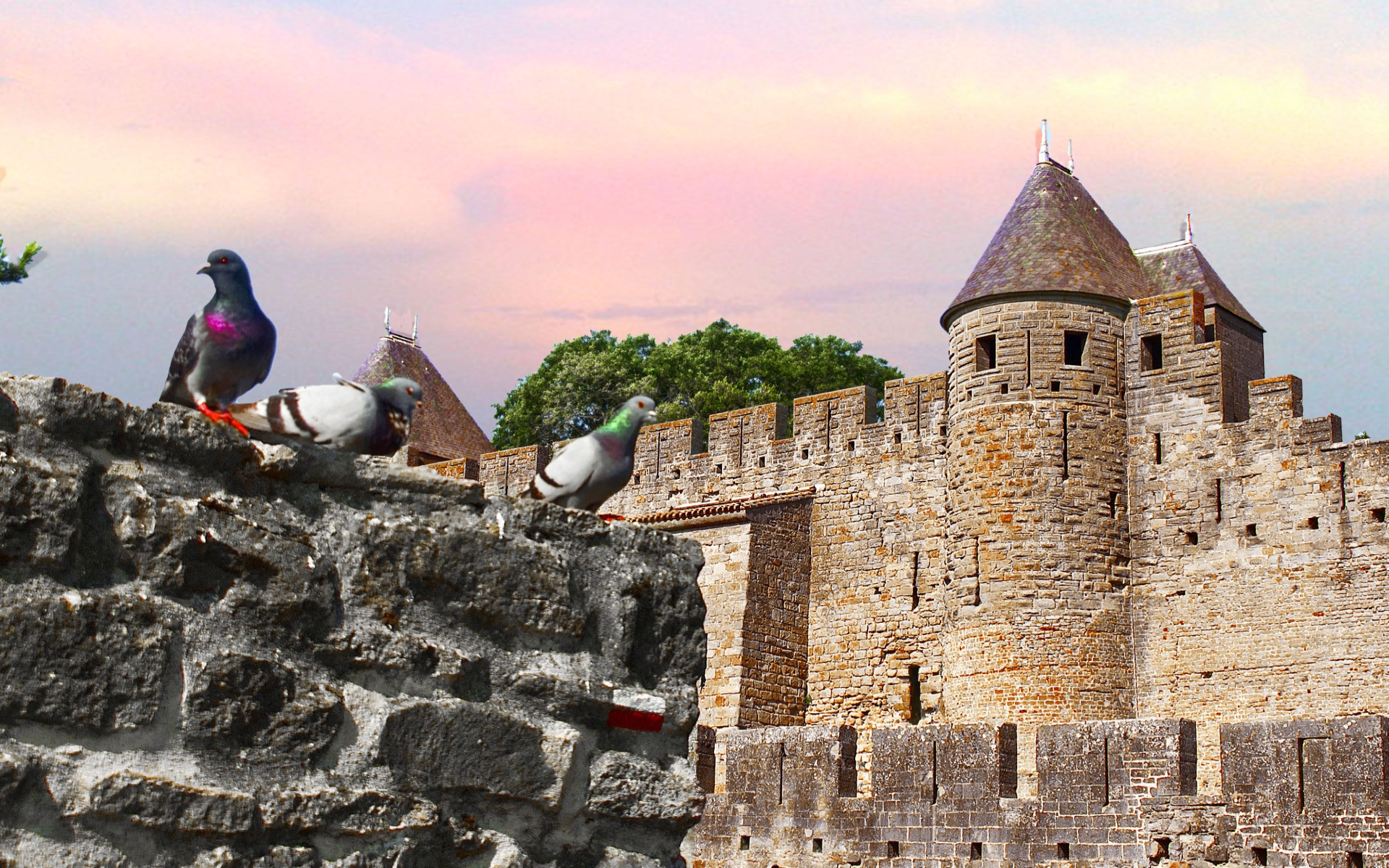 339281 baixar imagens feito pelo homem, carcassonne, castelos - papéis de parede e protetores de tela gratuitamente