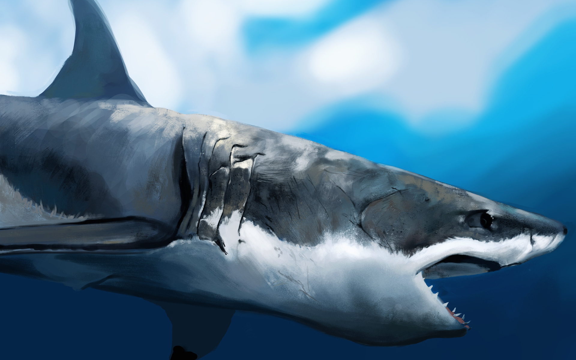 40171 скачать картинку акулы, синие, животные, рисунки - обои и заставки бесплатно
