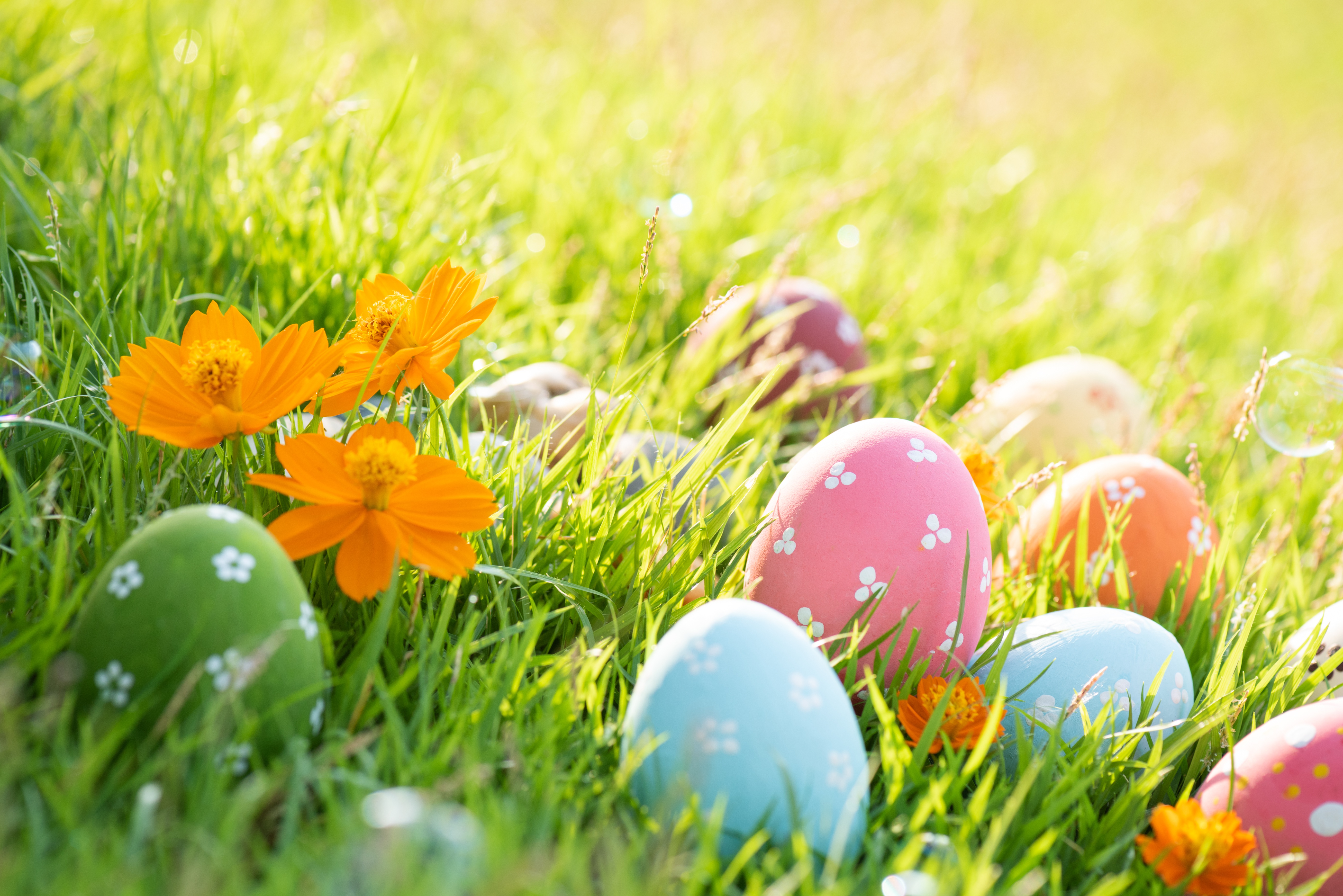 Скачати мобільні шпалери Трава, Великдень, Квітка, Свято, Весна, Пасхальне Яйце безкоштовно.