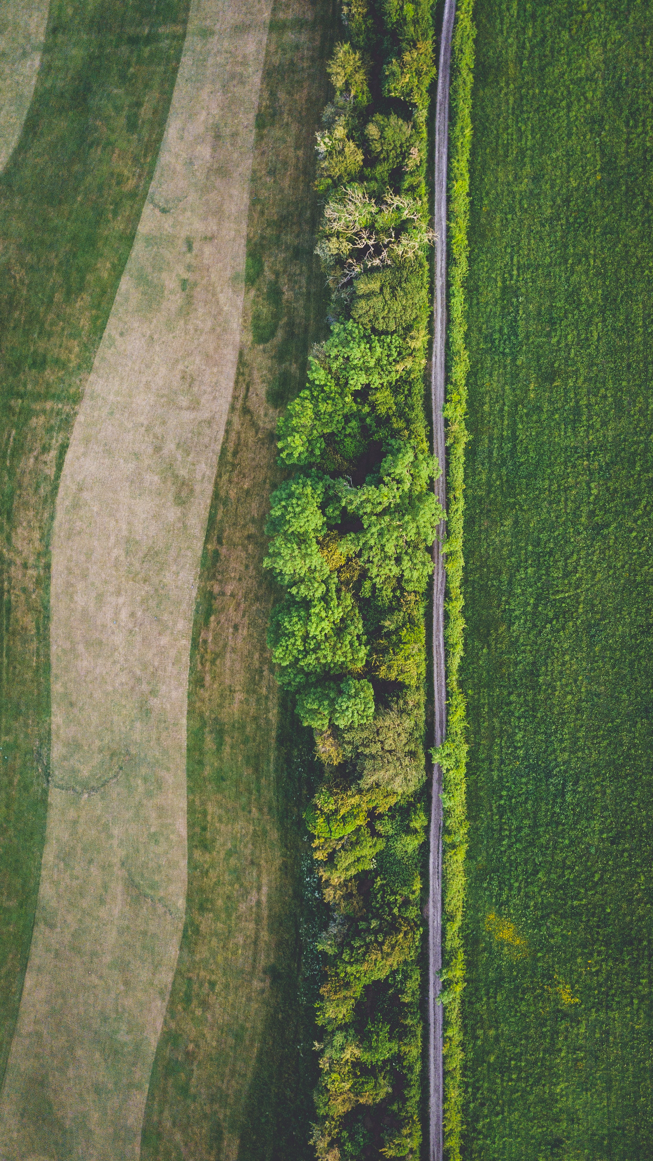 Download mobile wallpaper Field, View From Above, Road, Nature, Trees for free.