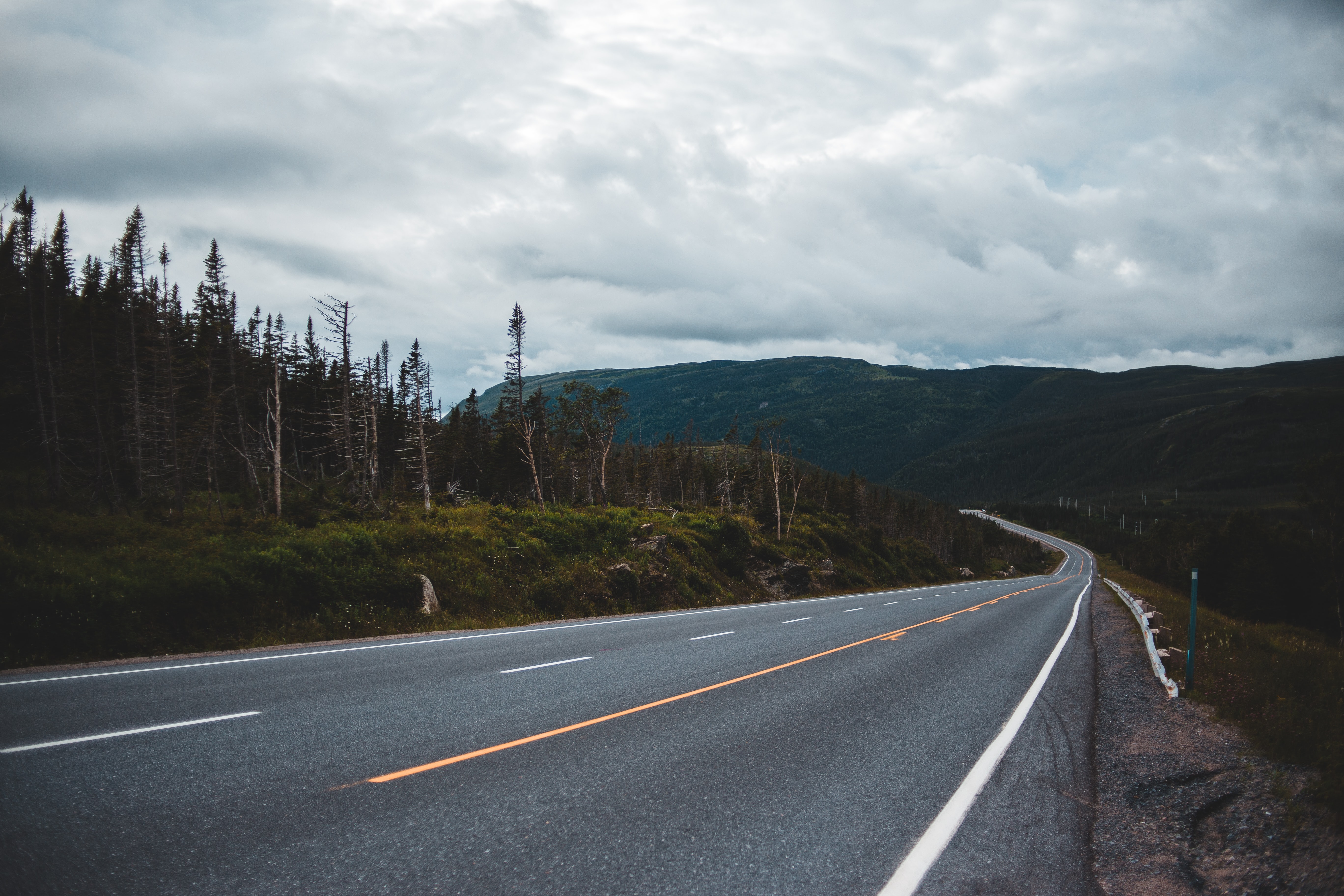 nature, trees, road, markup, hills, dahl, distance Aesthetic wallpaper