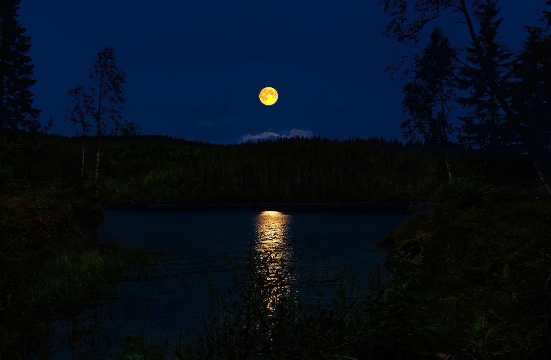 Download mobile wallpaper Night, Moon, Forest, Earth, River for free.
