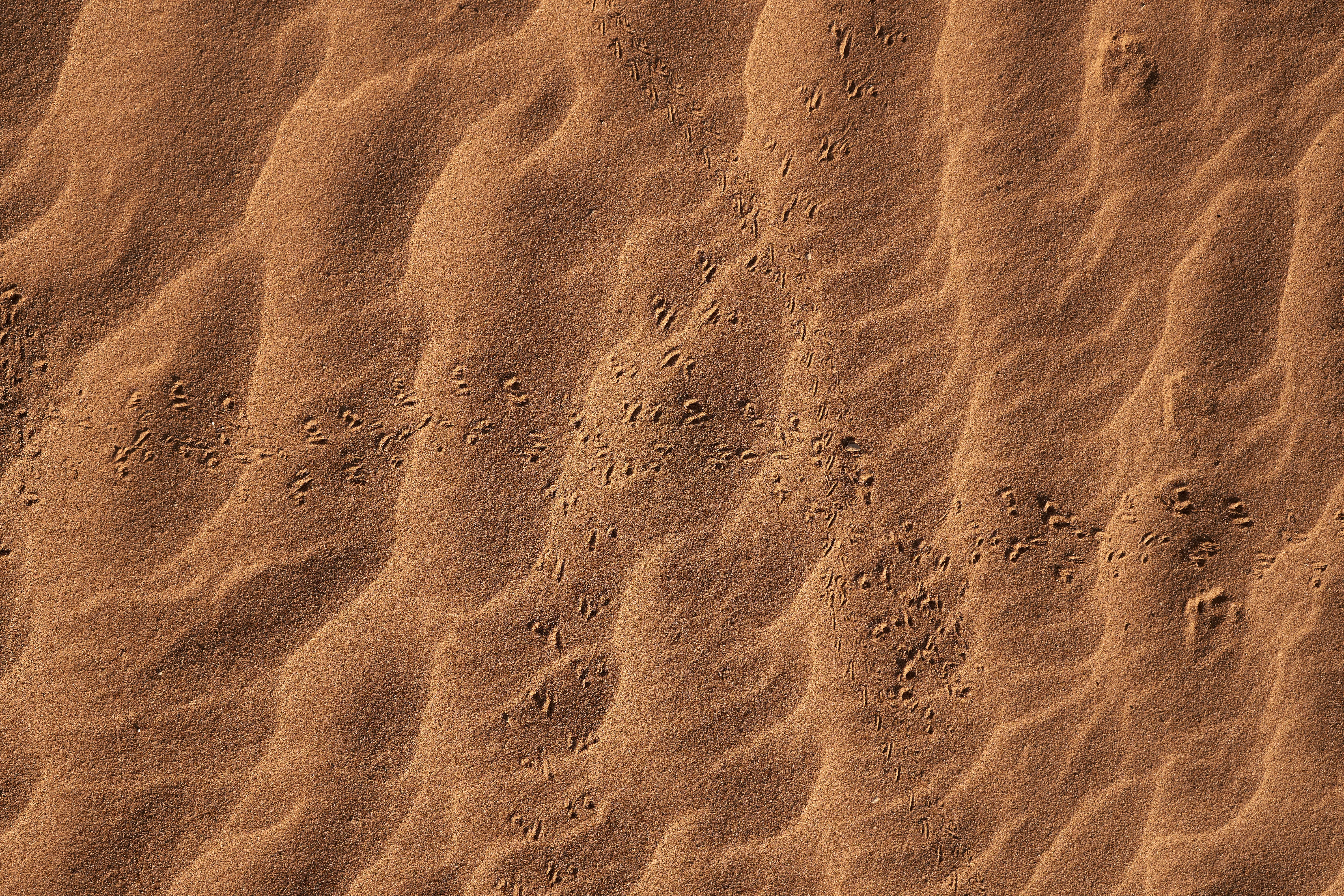 sand, desert, texture, textures, traces Desktop Wallpaper