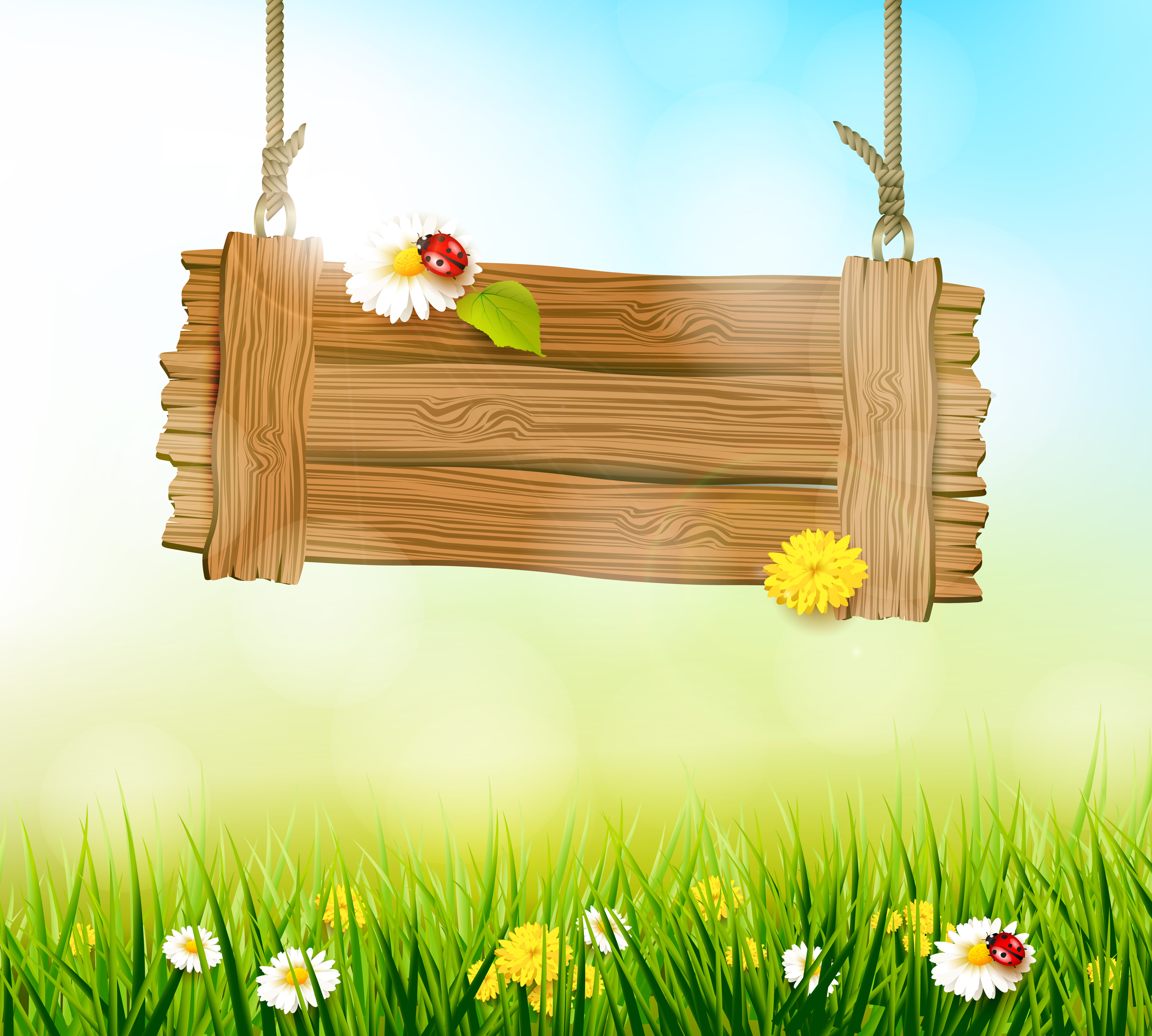 Free download wallpaper Grass, Flower, Ladybug, Spring, Artistic on your PC desktop