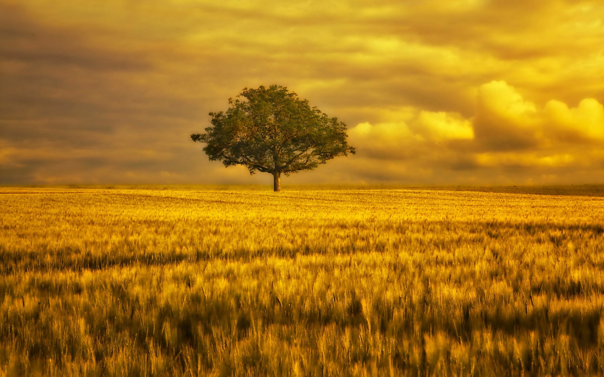 Baixe gratuitamente a imagem Paisagem, Terra/natureza na área de trabalho do seu PC