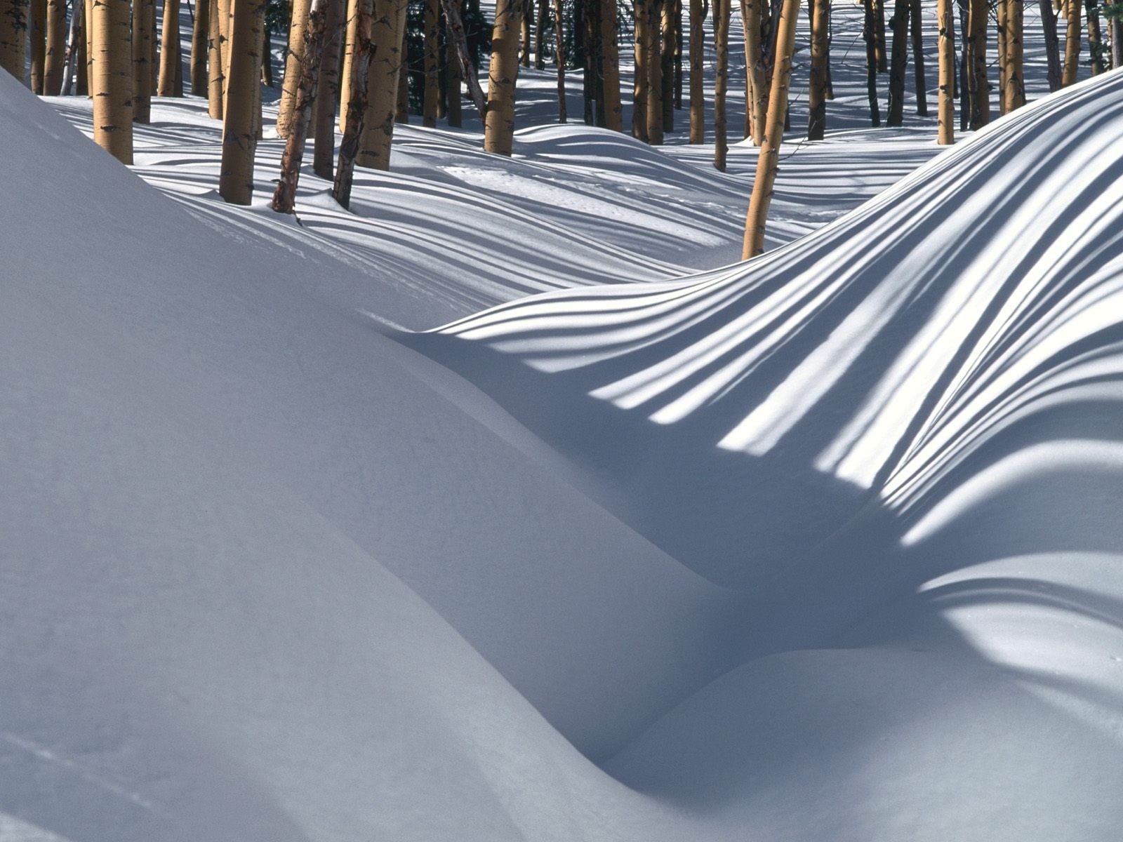 Handy-Wallpaper Winter, Erde/natur kostenlos herunterladen.