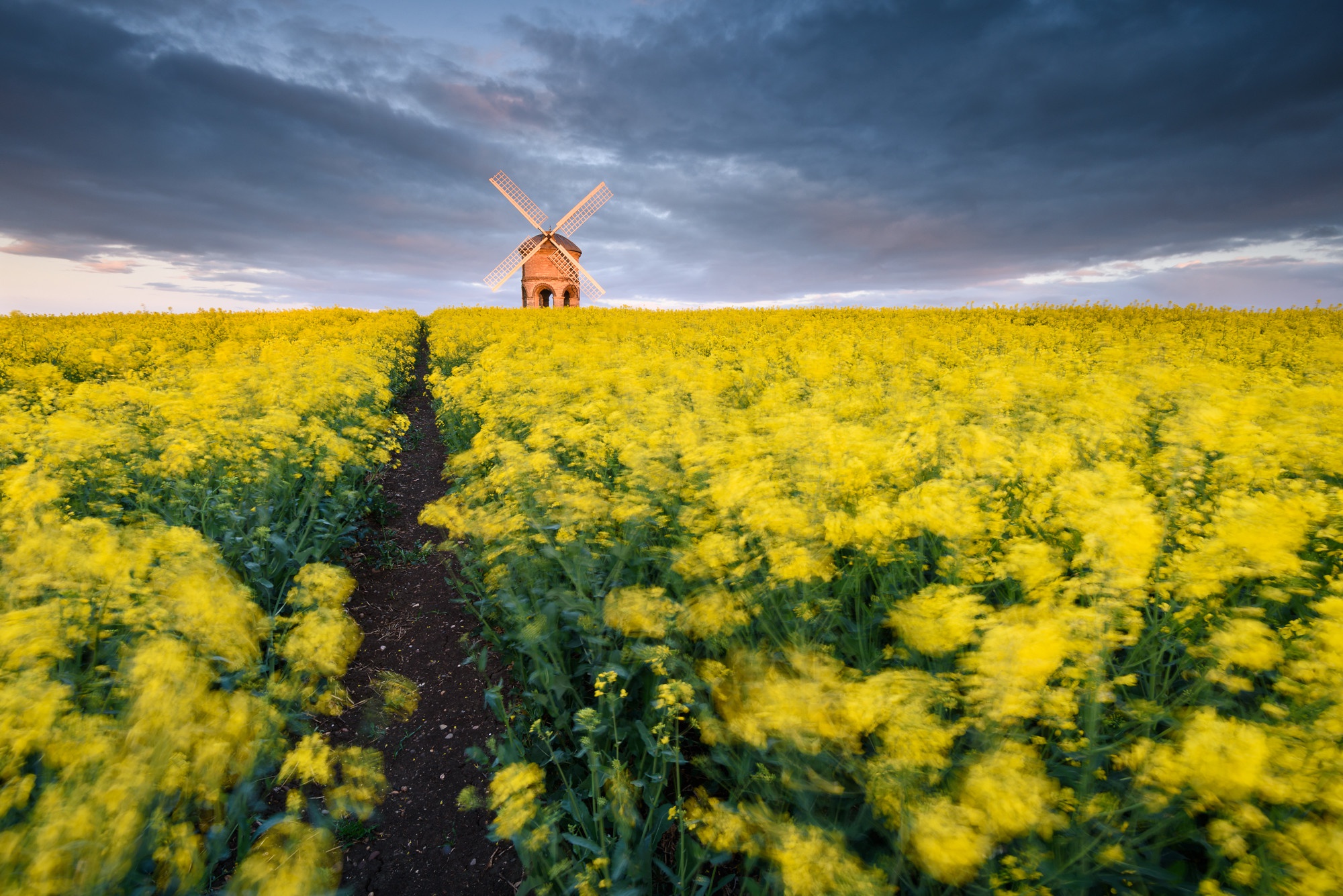 Download mobile wallpaper Windmill, Man Made, Rapeseed for free.