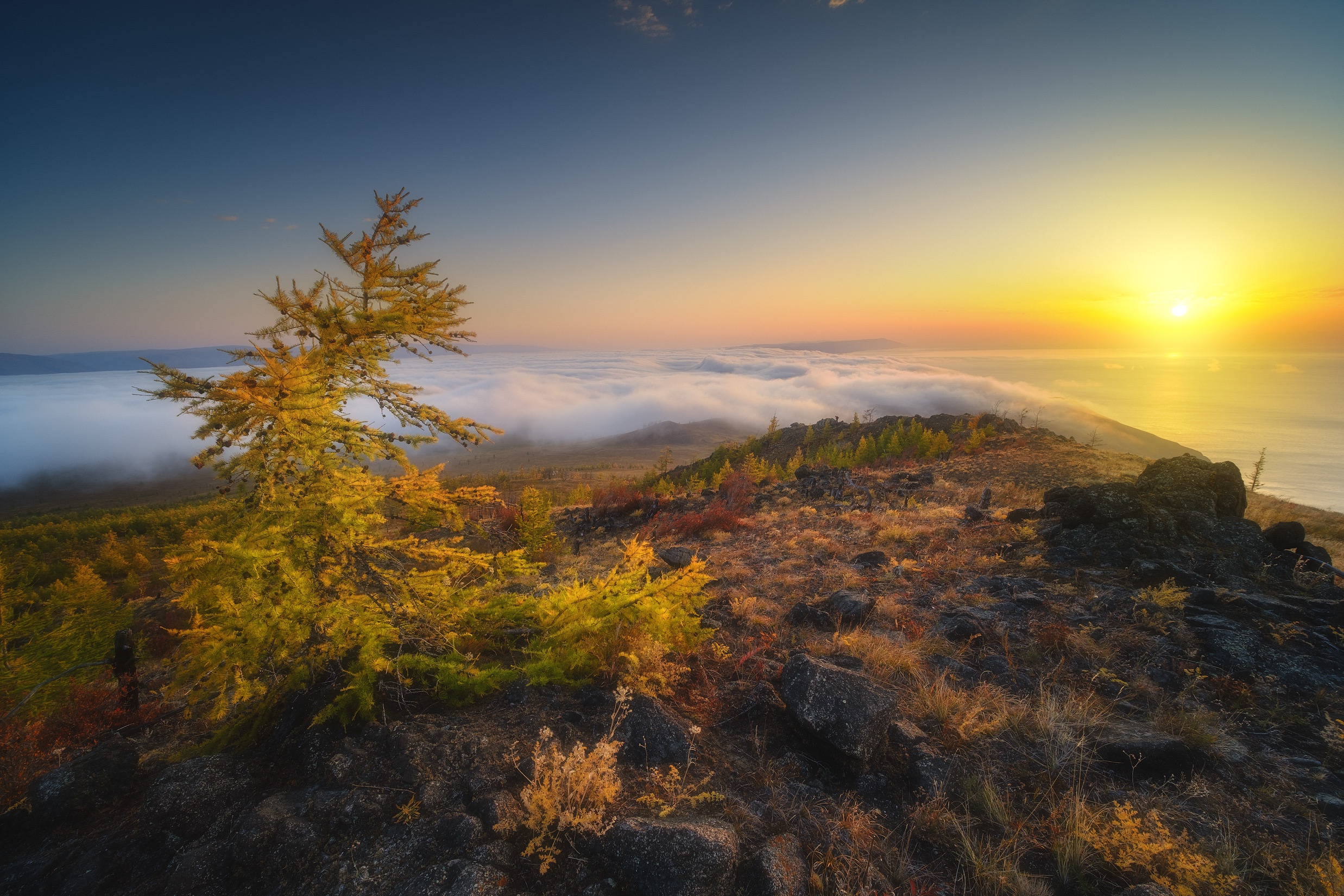 Laden Sie das Sonnenaufgang, Erde/natur, Wolkenmeer-Bild kostenlos auf Ihren PC-Desktop herunter