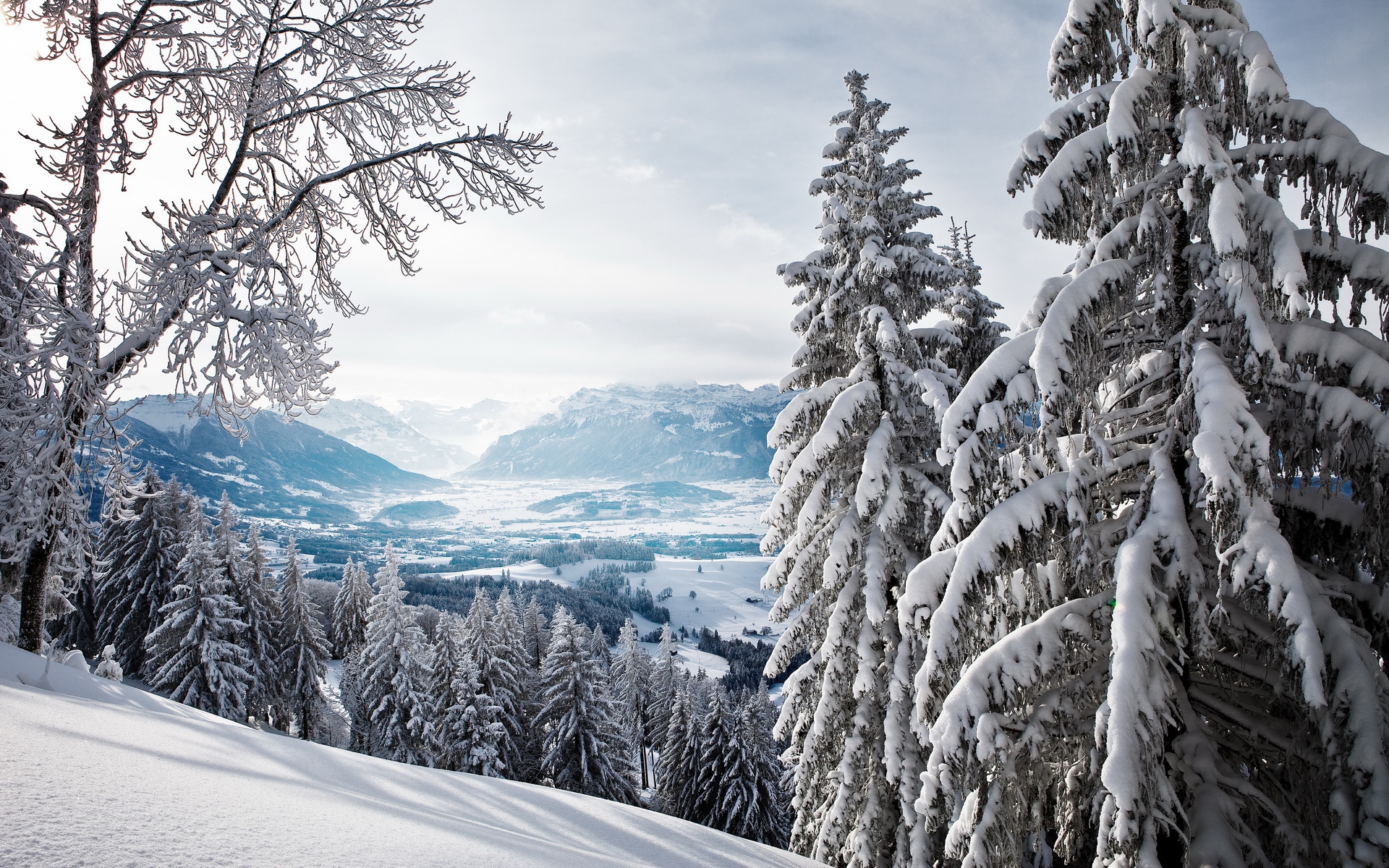 Téléchargez gratuitement l'image Hiver, Terre/nature sur le bureau de votre PC