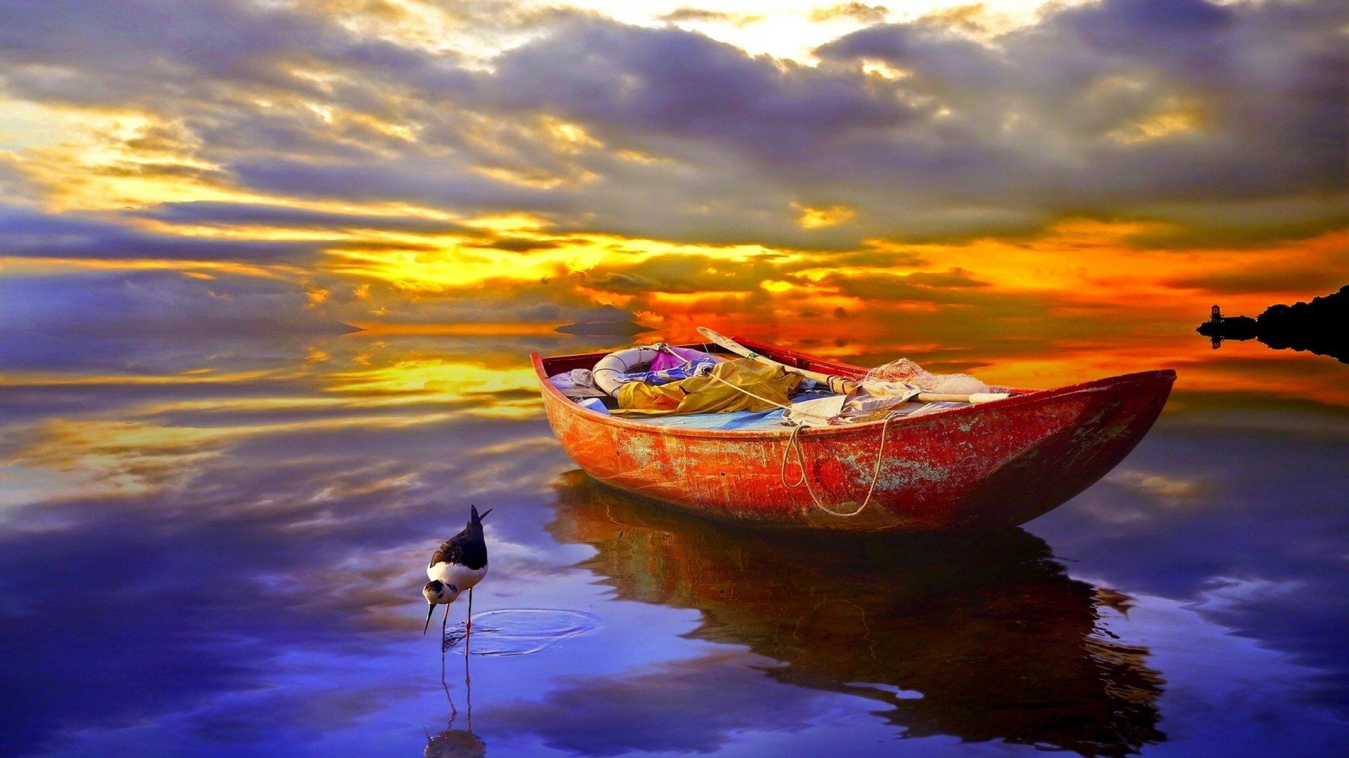 Download mobile wallpaper Sunset, Sky, Horizon, Reflection, Bird, Earth, Boat, Vehicles for free.