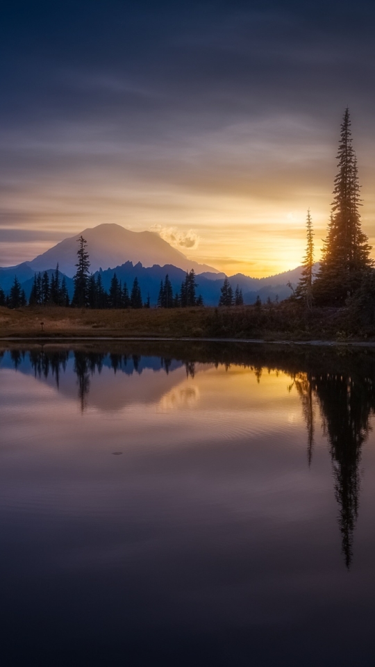 Скачать картинку Природа, Отражение, Дерево, Восход, Восход Солнца, Земля/природа в телефон бесплатно.