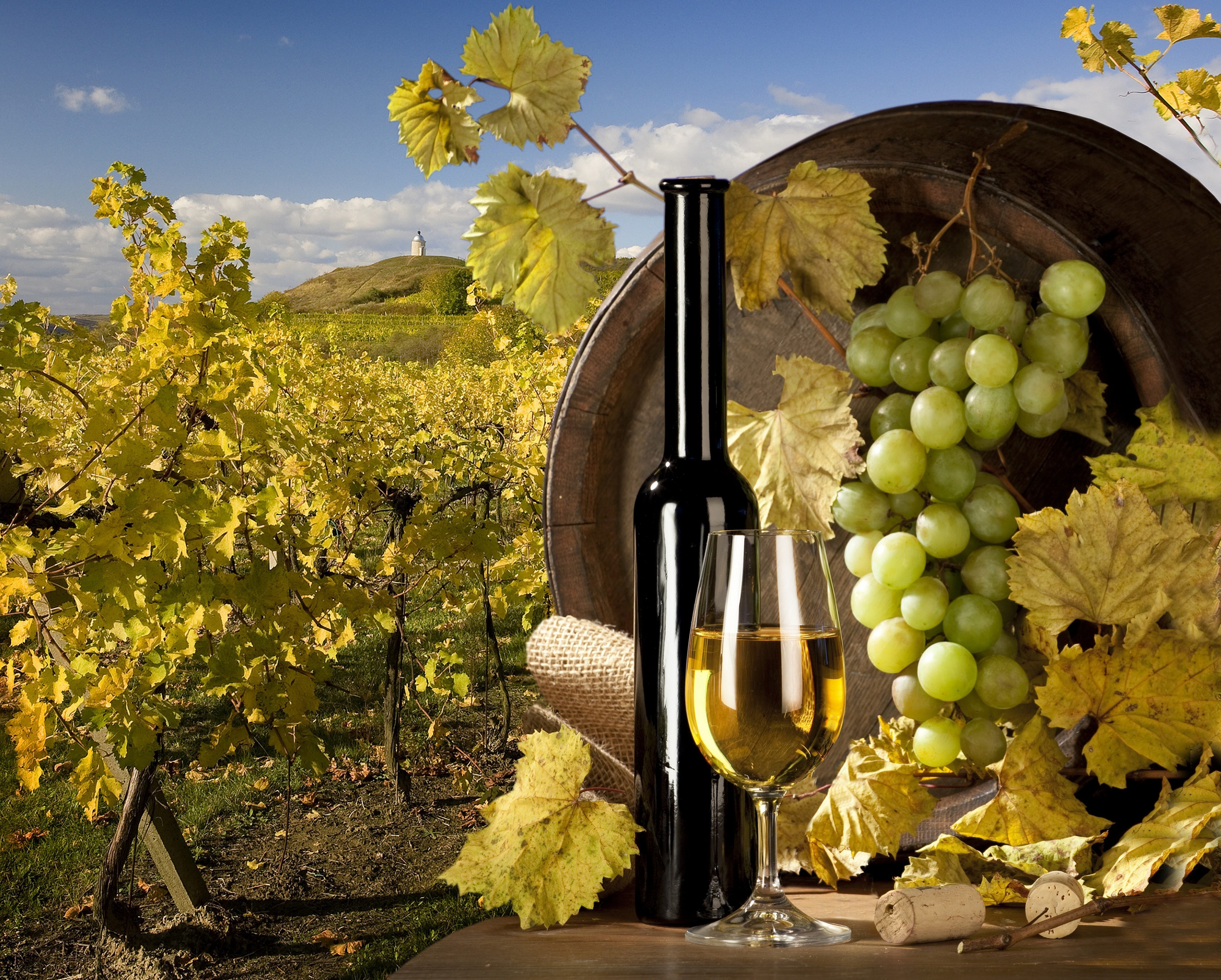 Free download wallpaper Food, Grapes, Fall, Wine on your PC desktop