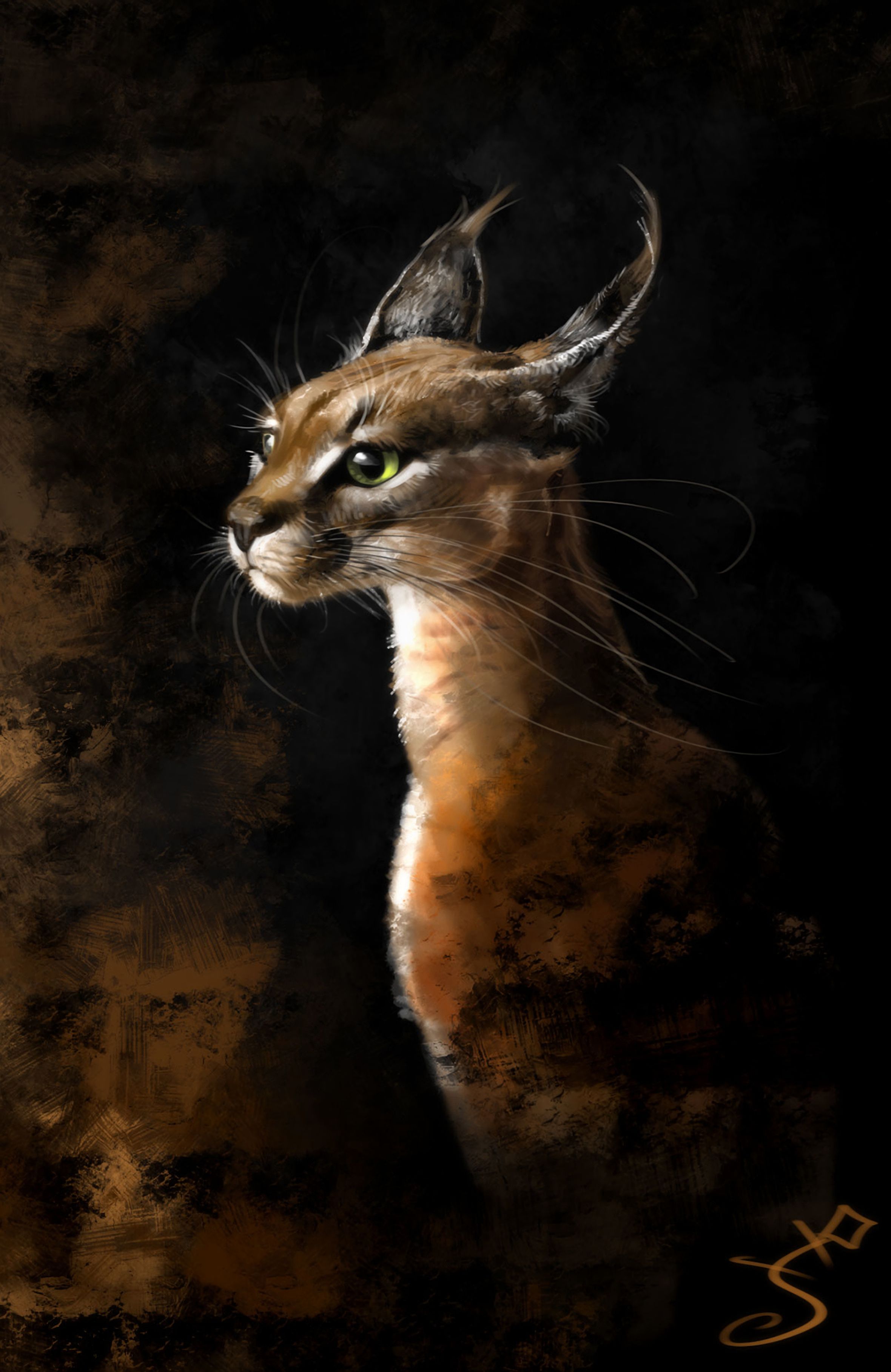 Download mobile wallpaper Iris, Big Cat, Predator, Art for free.