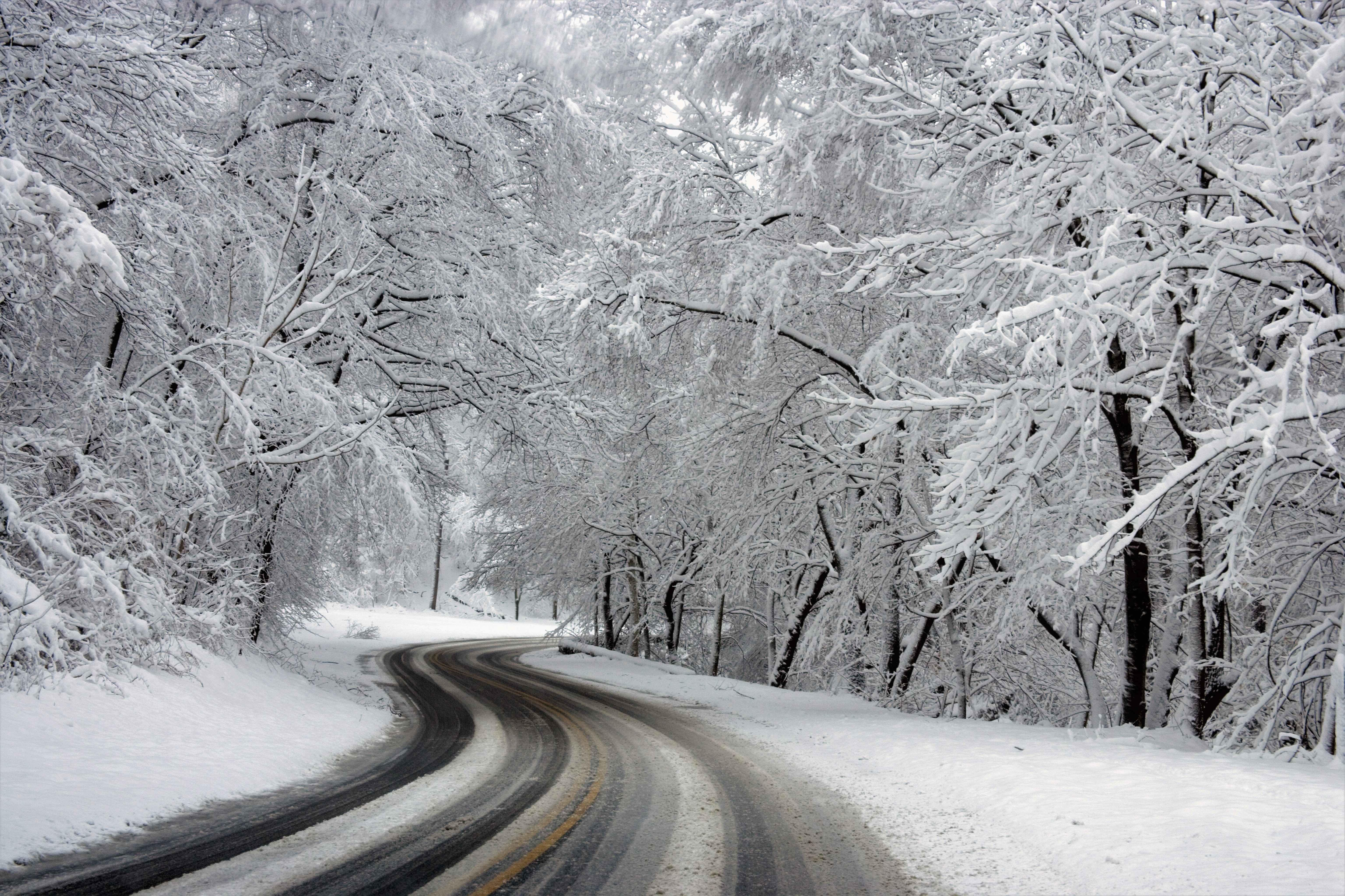 Descarga gratis la imagen Invierno, Nieve, Bosque, Carretera, Hecho Por El Hombre en el escritorio de tu PC
