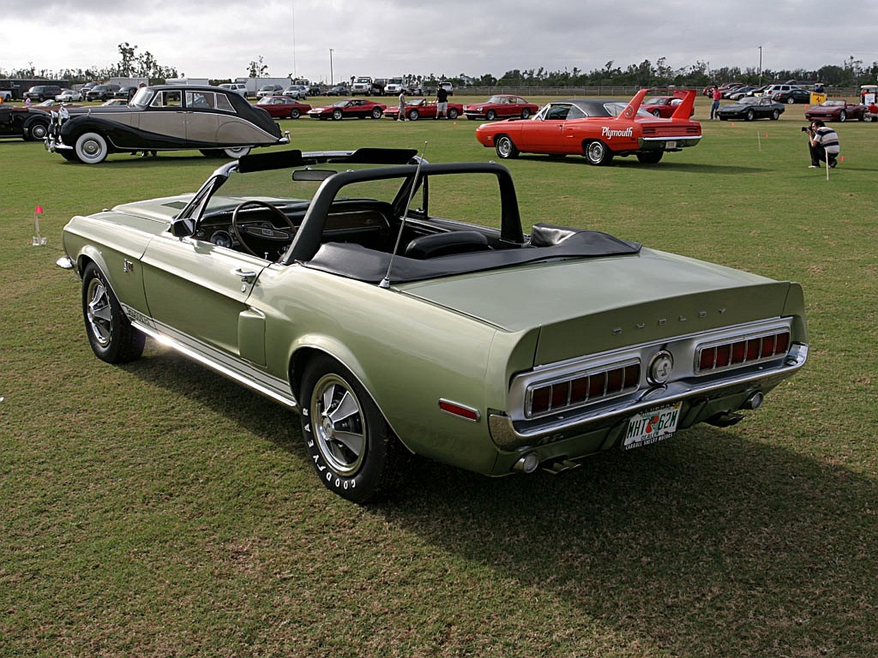 Descarga gratuita de fondo de pantalla para móvil de Vehículos, Ford Mustang Shelby.