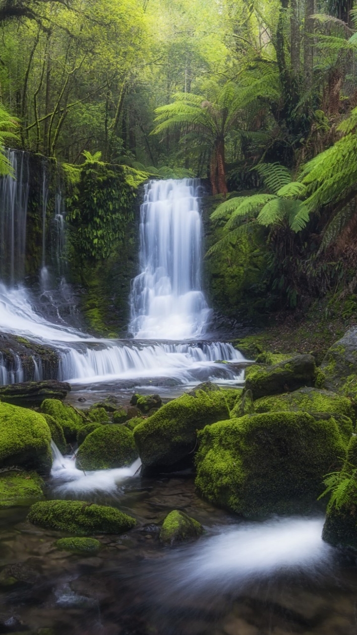 Download mobile wallpaper Waterfalls, Waterfall, Forest, Earth, Moss, Tropical for free.