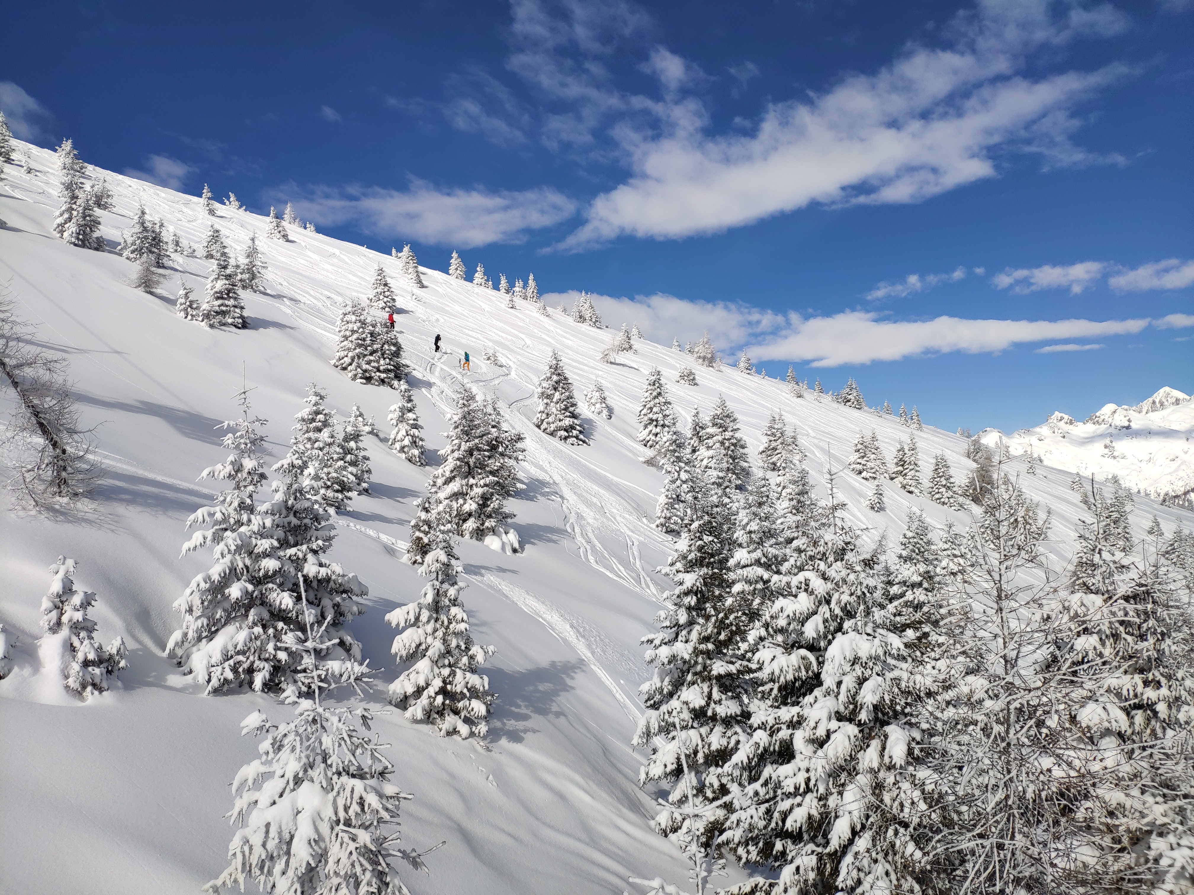 Скачать картинку Зима, Снег, Гора, Ель, Земля/природа в телефон бесплатно.