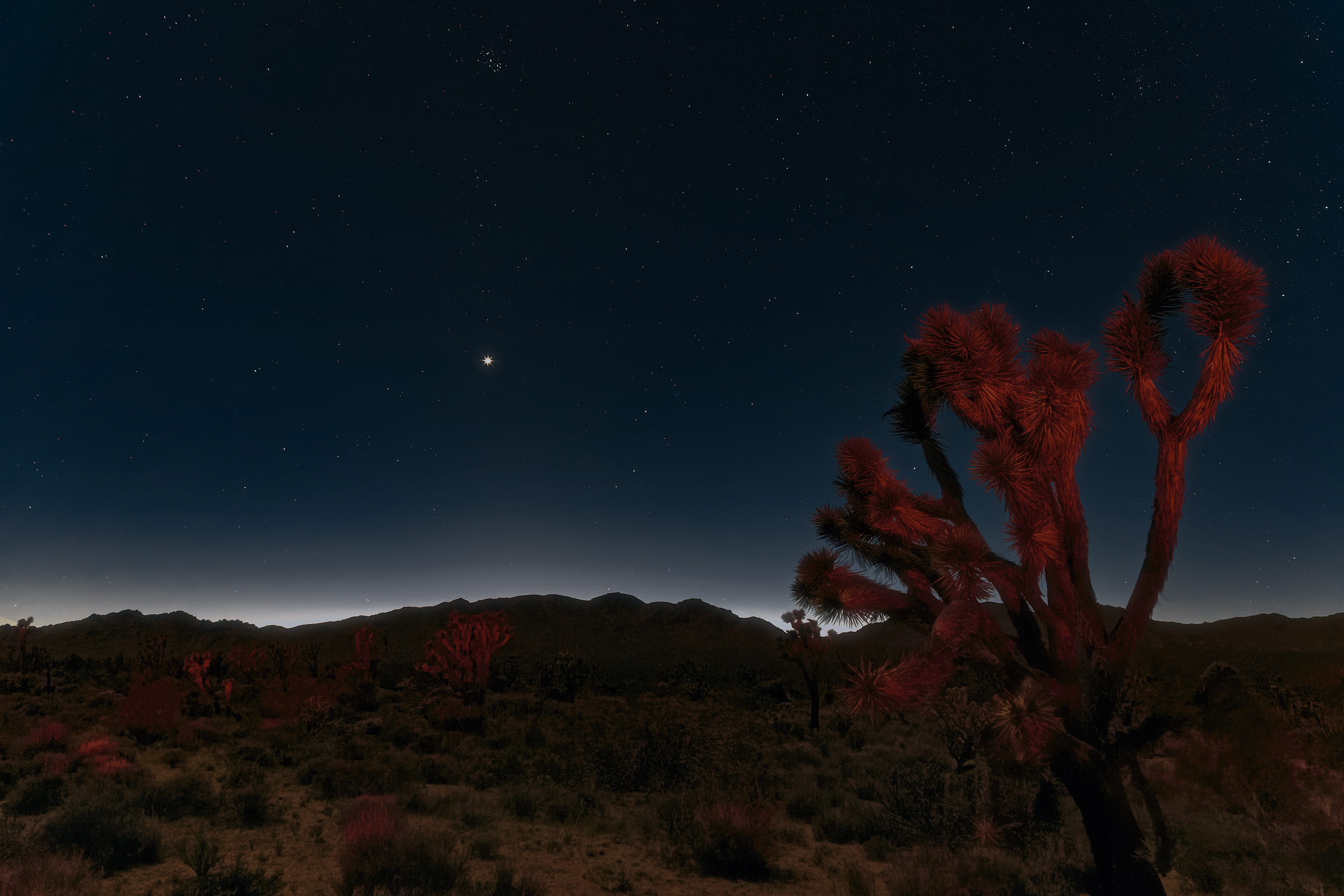 Die besten Mojavewüste-Hintergründe für den Telefonbildschirm