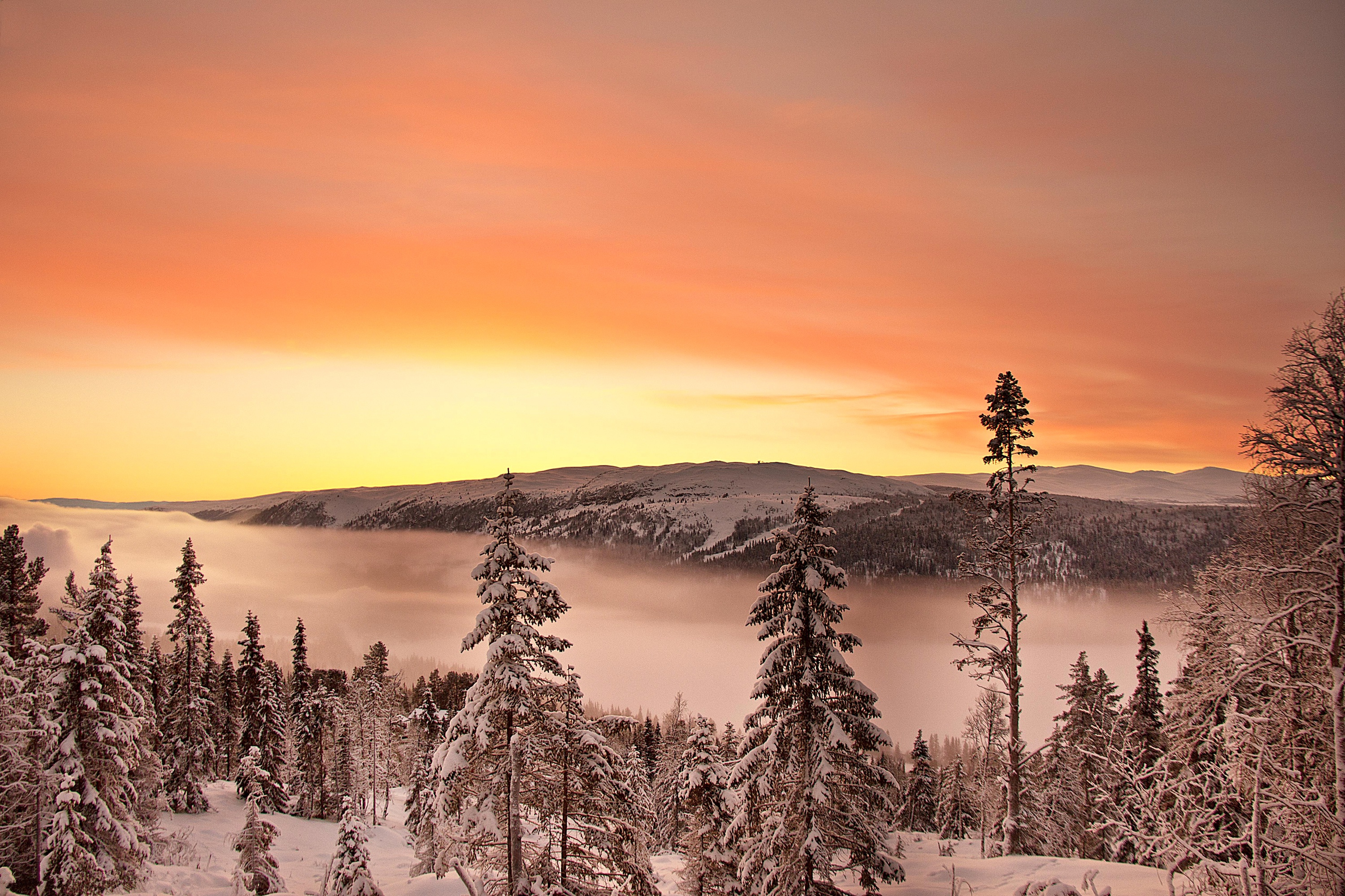 Free download wallpaper Landscape, Snow, Mountain, Forest, Tree, Sunrise, Earth, Cloud, Snowfall, Orange (Color) on your PC desktop