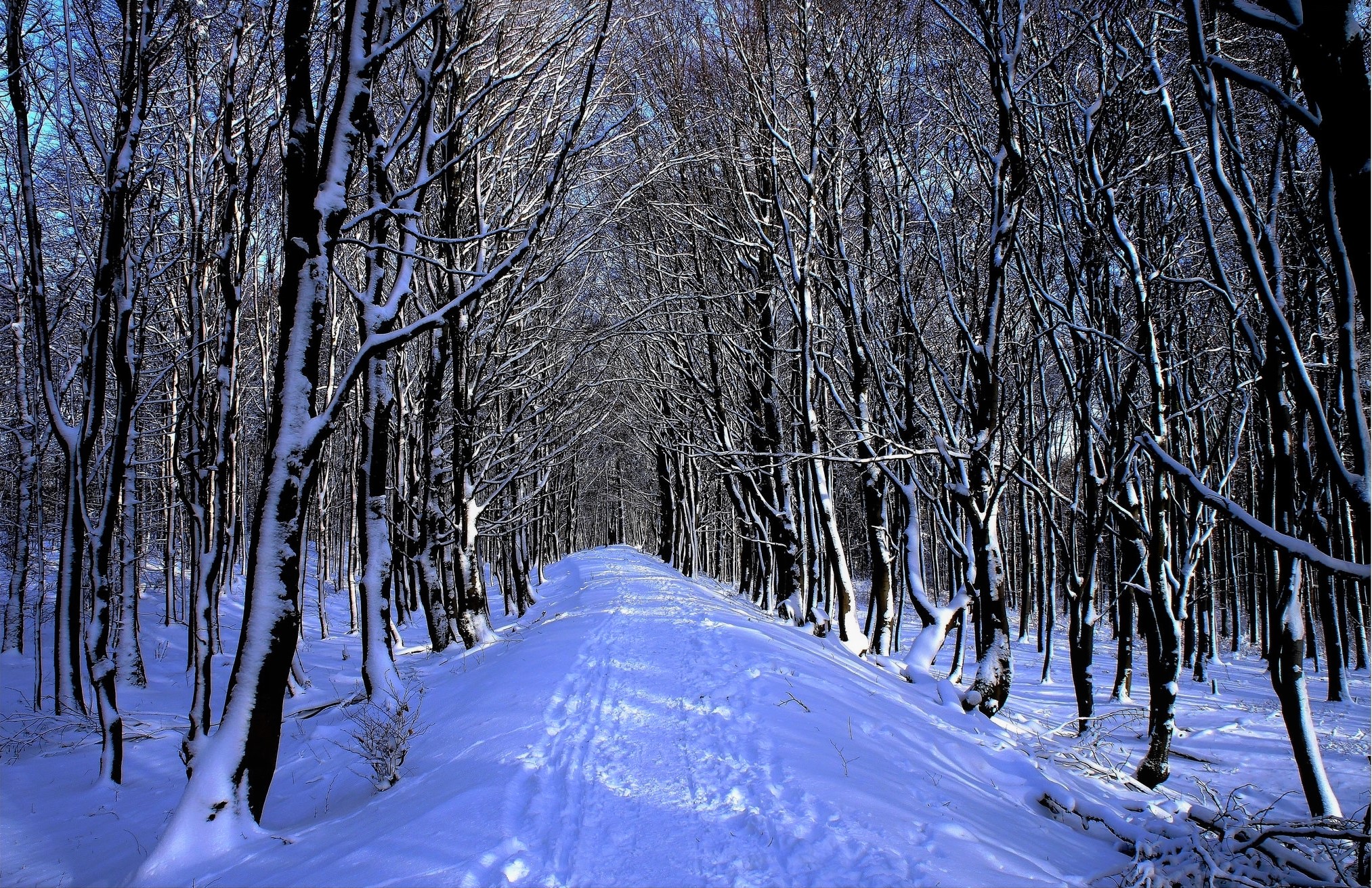 Download mobile wallpaper Winter, Snow, Earth, Path for free.