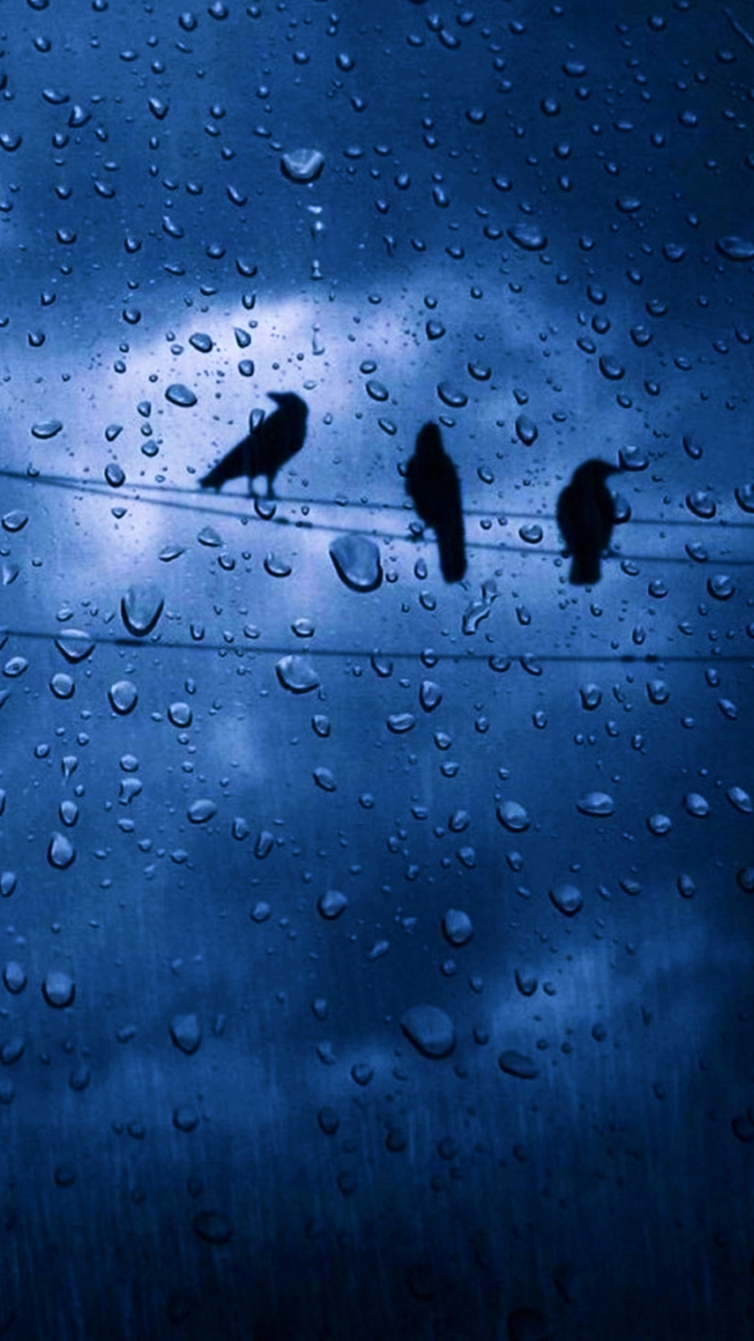 Download mobile wallpaper Sky, Rain, Dark, Bird, Cloud, Photography, Water Drop for free.