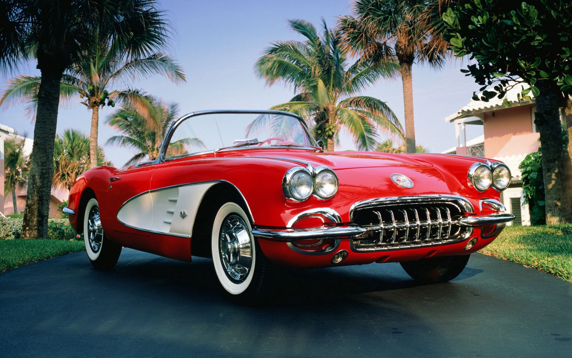 102583 скачать картинку пальмы, шевроле (chevrolet), тачки (cars), красный, кабриолет, chevrolet corvette, 1960 chevrolet corvette - обои и заставки бесплатно