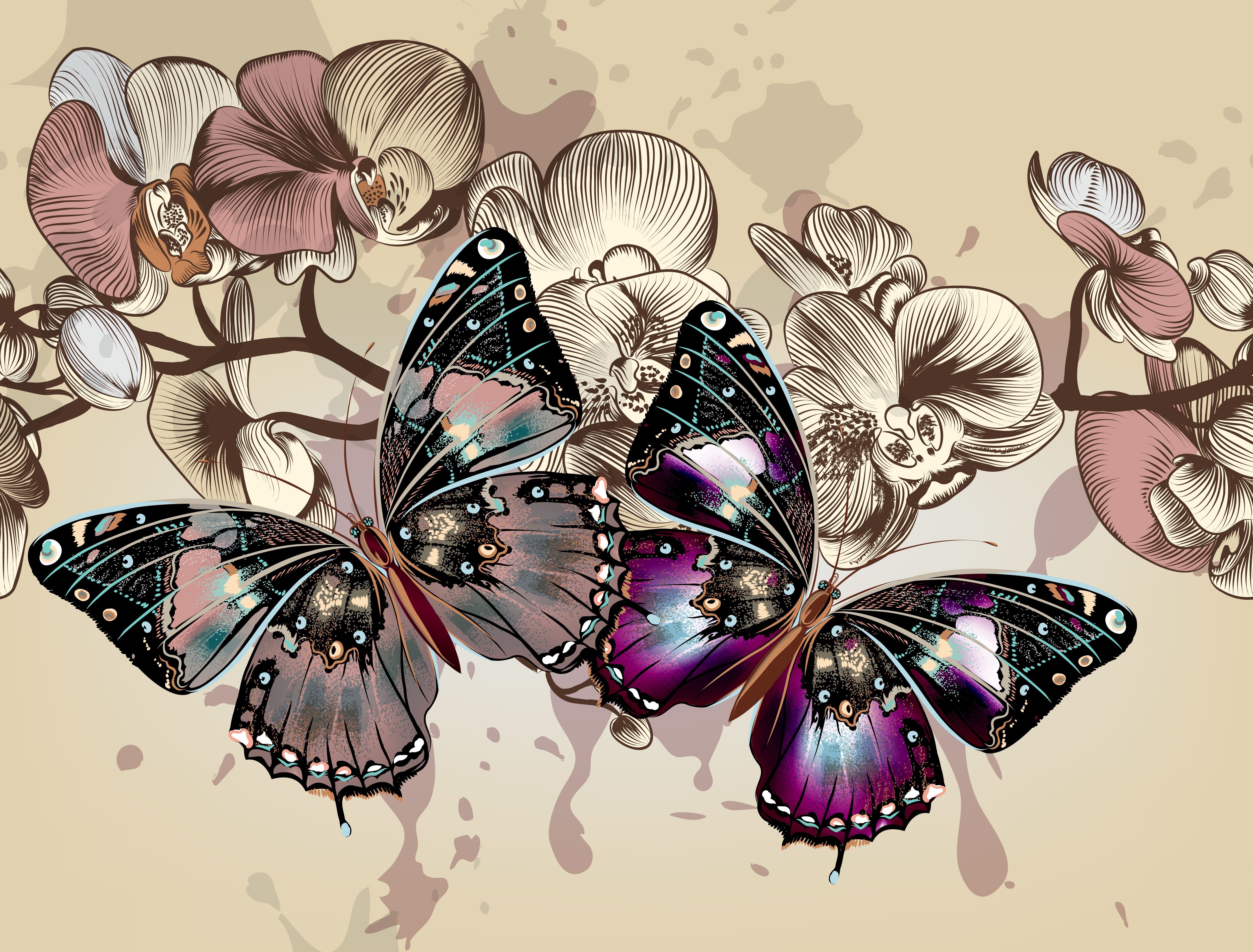 Laden Sie das Tiere, Schmetterlinge, Vektor, Blume, Flügel-Bild kostenlos auf Ihren PC-Desktop herunter