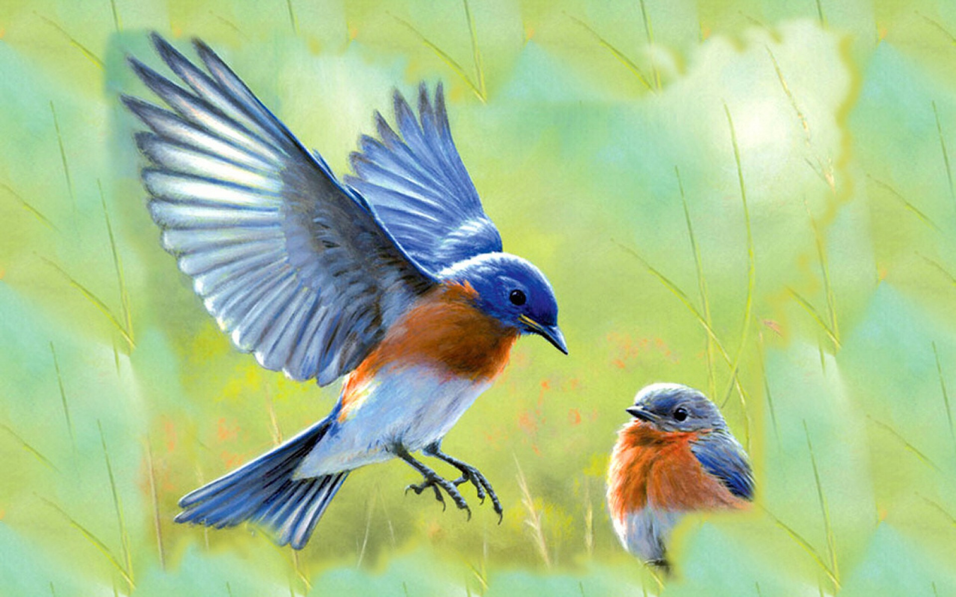 289876 скачать обои животные, восточная синяя птица, птицы - заставки и картинки бесплатно