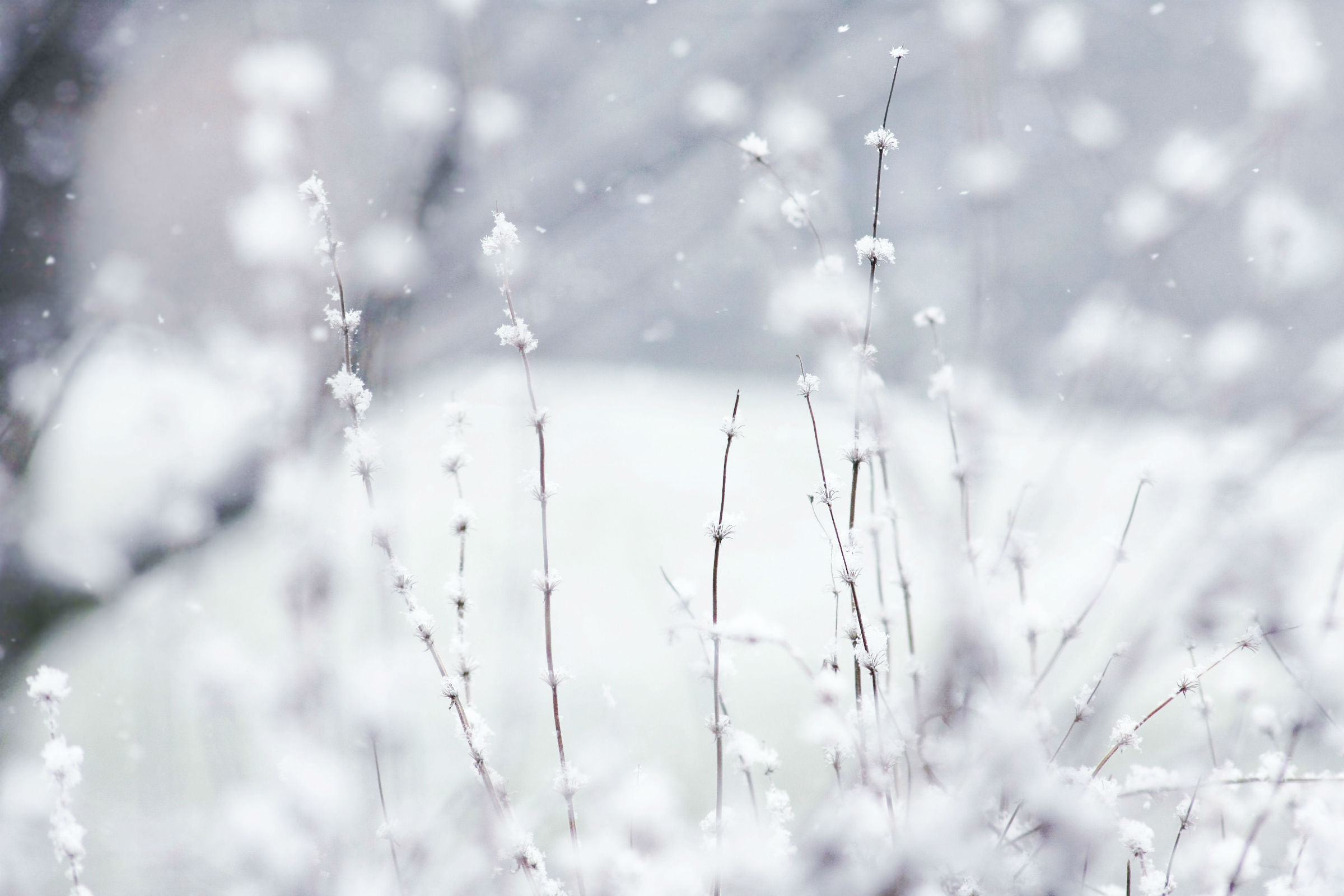 Скачать картинку Снег, Зима, Земля/природа в телефон бесплатно.