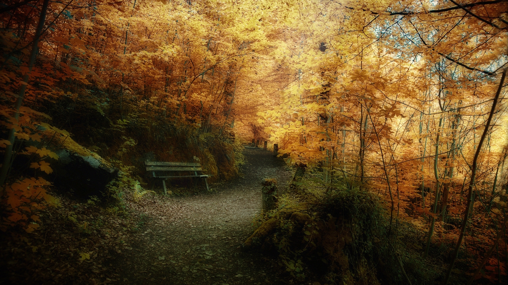 Скачать обои бесплатно Дороги, Пейзаж, Деревья, Осень картинка на рабочий стол ПК