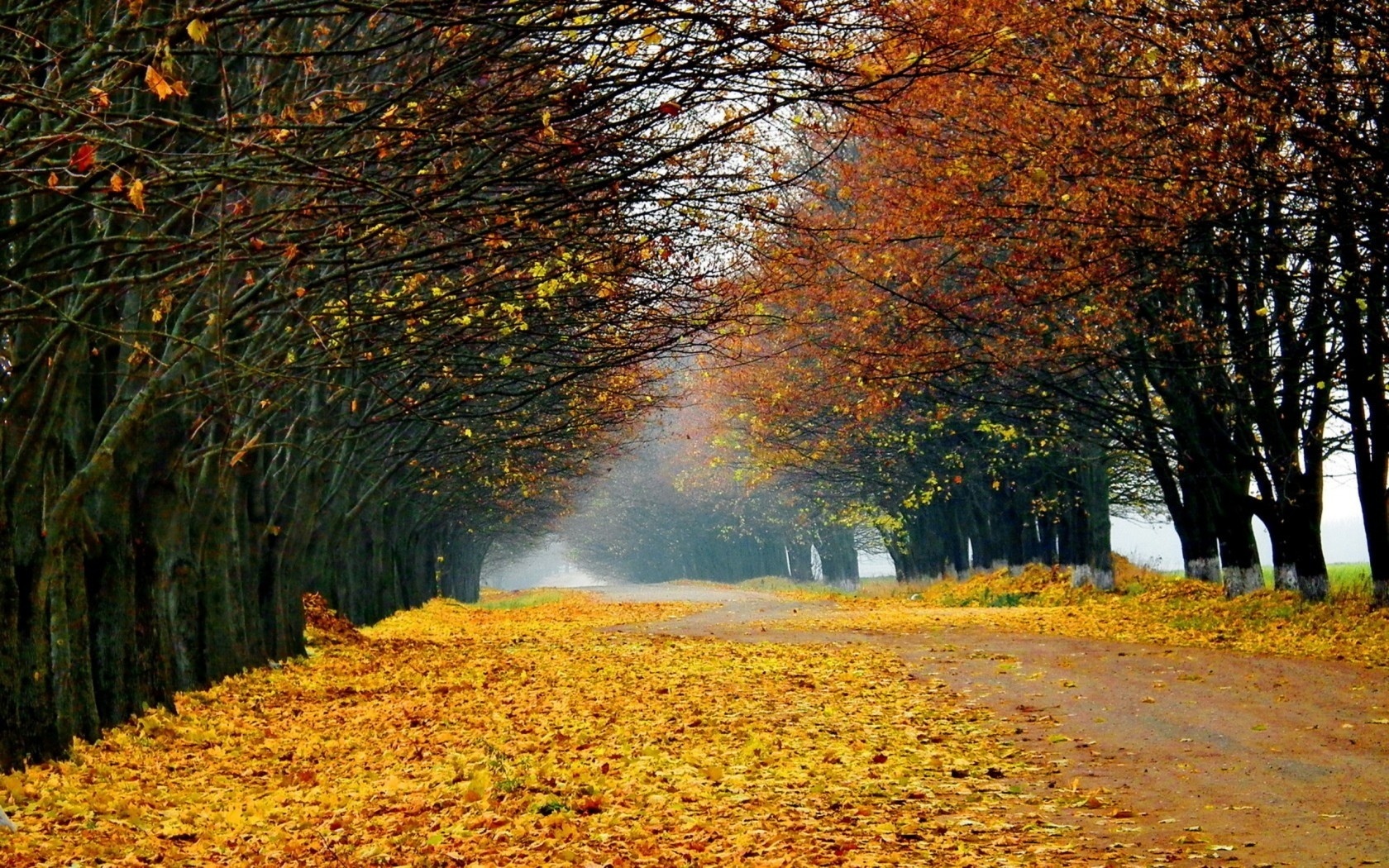 Free download wallpaper Trees, Autumn, Landscape on your PC desktop