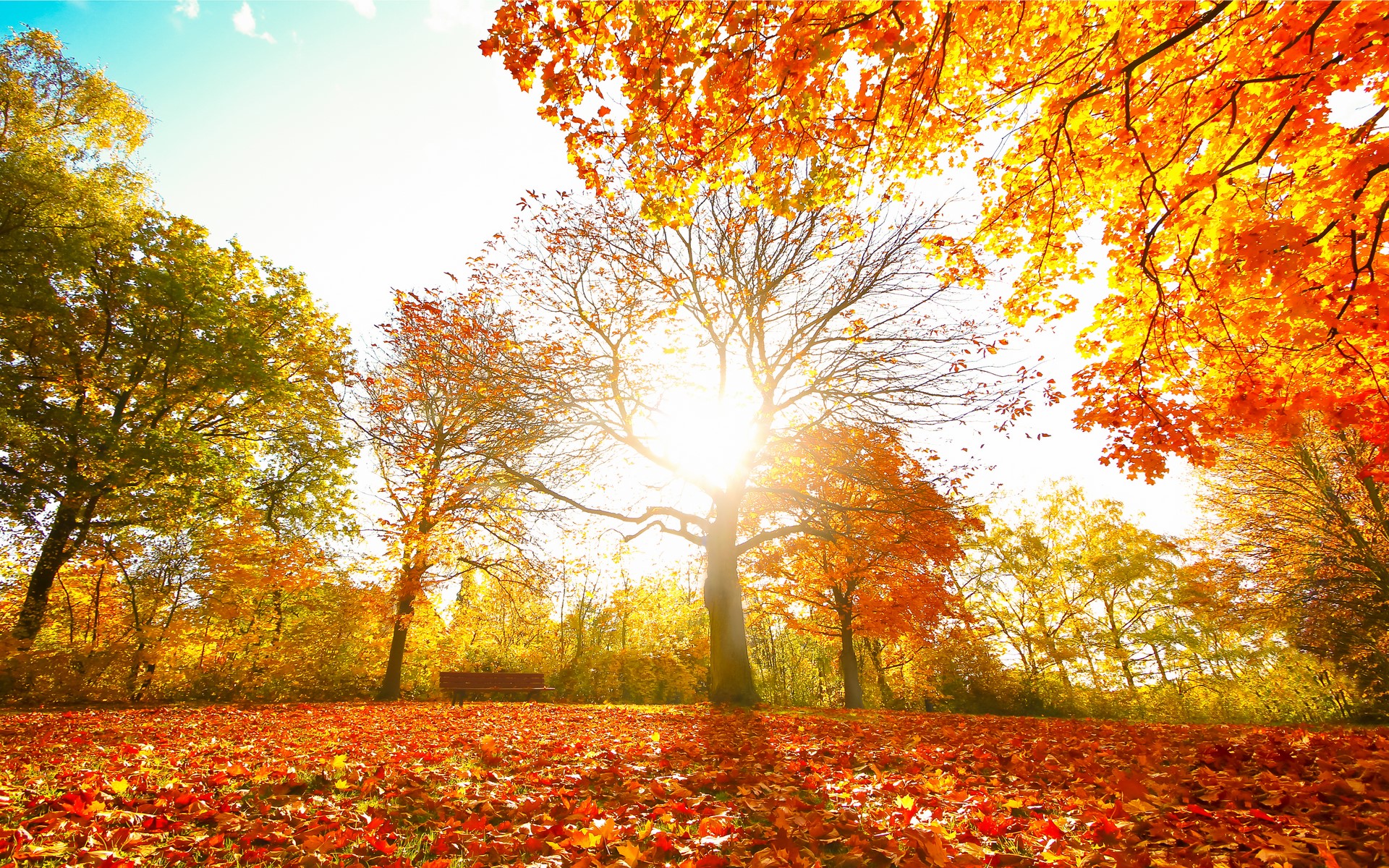 Download mobile wallpaper Fall, Earth for free.