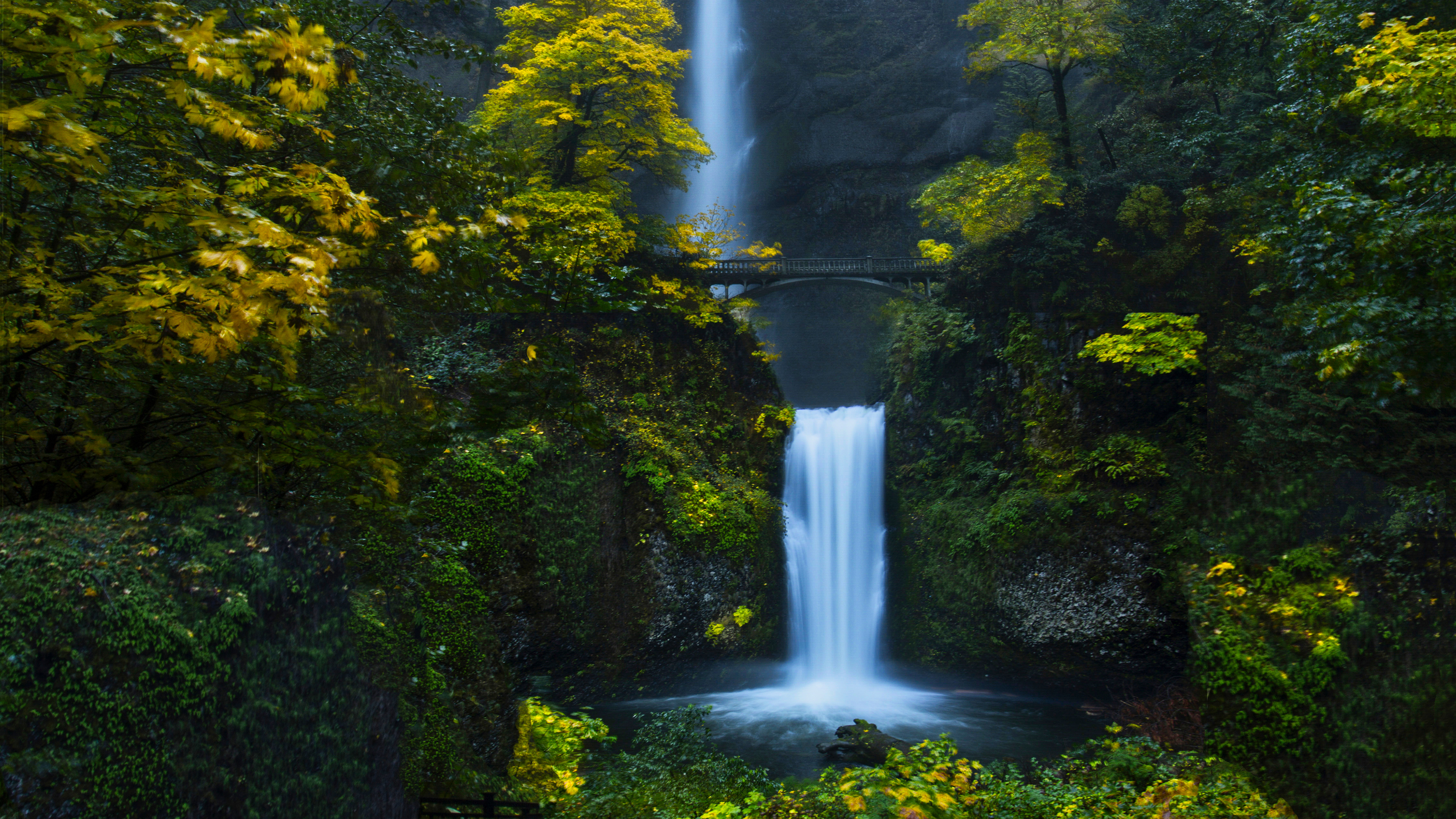 Download mobile wallpaper Waterfalls, Waterfall, Forest, Earth for free.