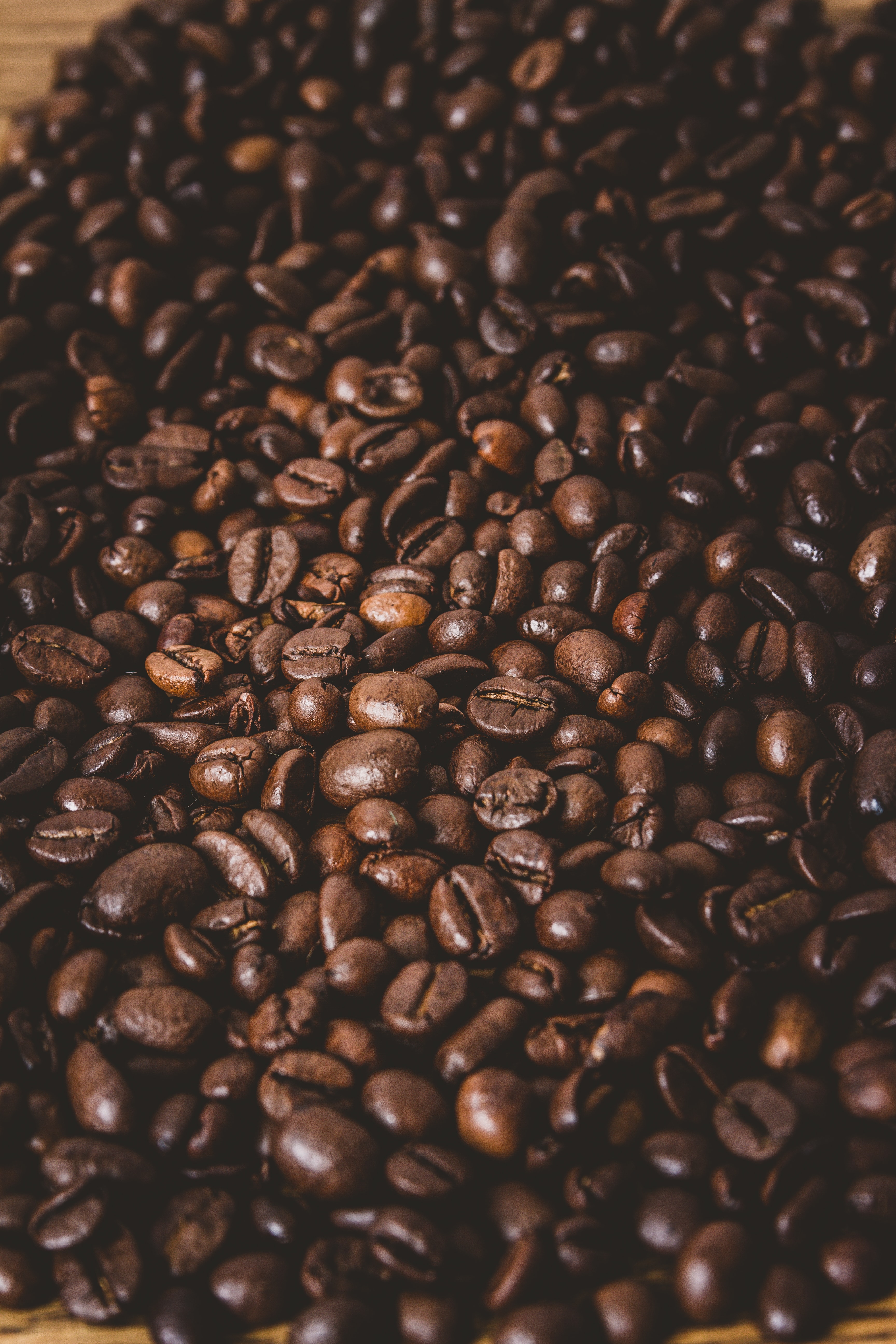 coffee beans, grain, coffee, macro, brown, grains