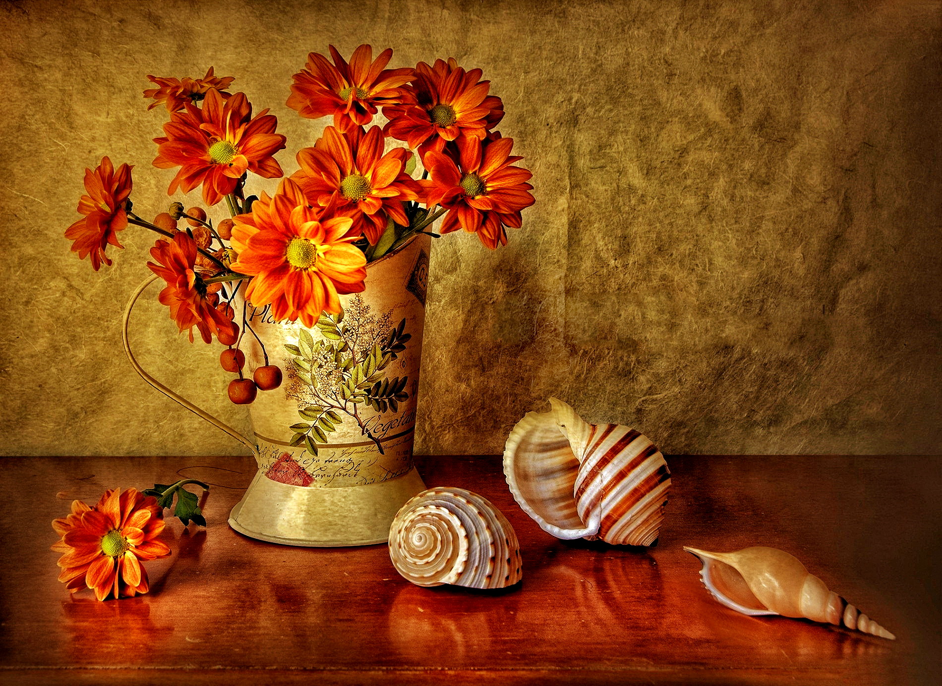 Laden Sie das Blume, Vase, Muschel, Fotografie, Stillleben, Orangene Blume-Bild kostenlos auf Ihren PC-Desktop herunter