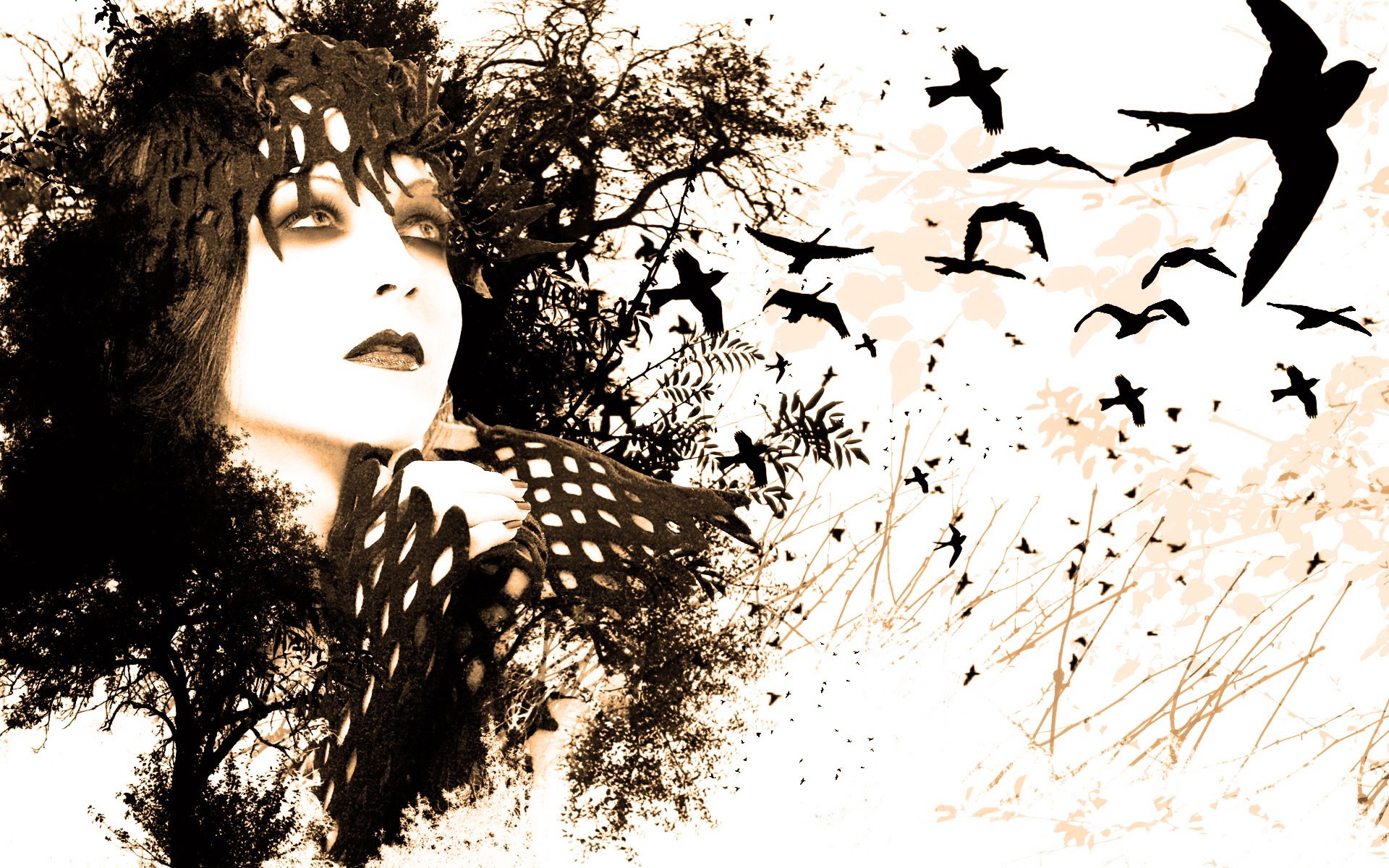 Free download wallpaper Fantasy, Gothic, Dark, Witch on your PC desktop