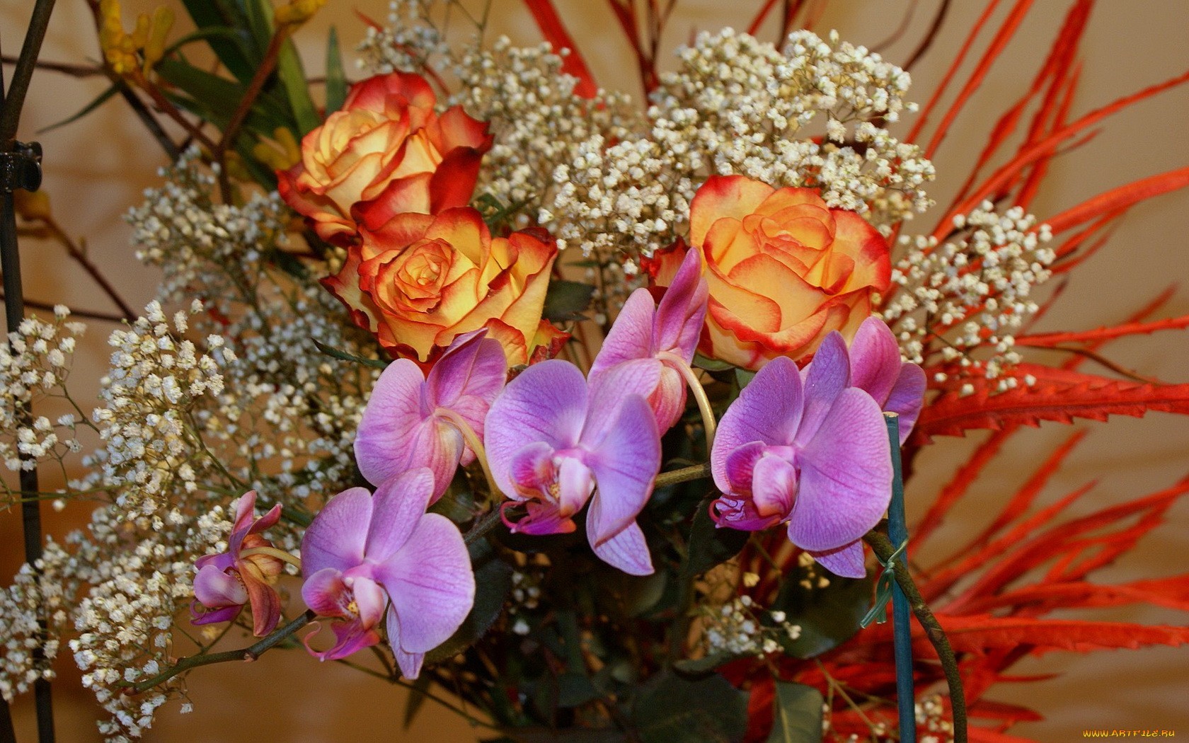 Free download wallpaper Plants, Flowers, Bouquets on your PC desktop