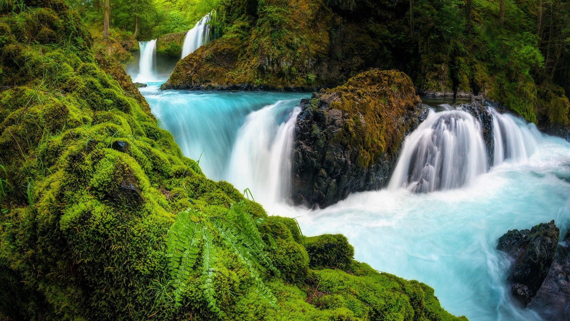 Download mobile wallpaper Waterfalls, Waterfall, Forest, Tree, Earth, Moss for free.
